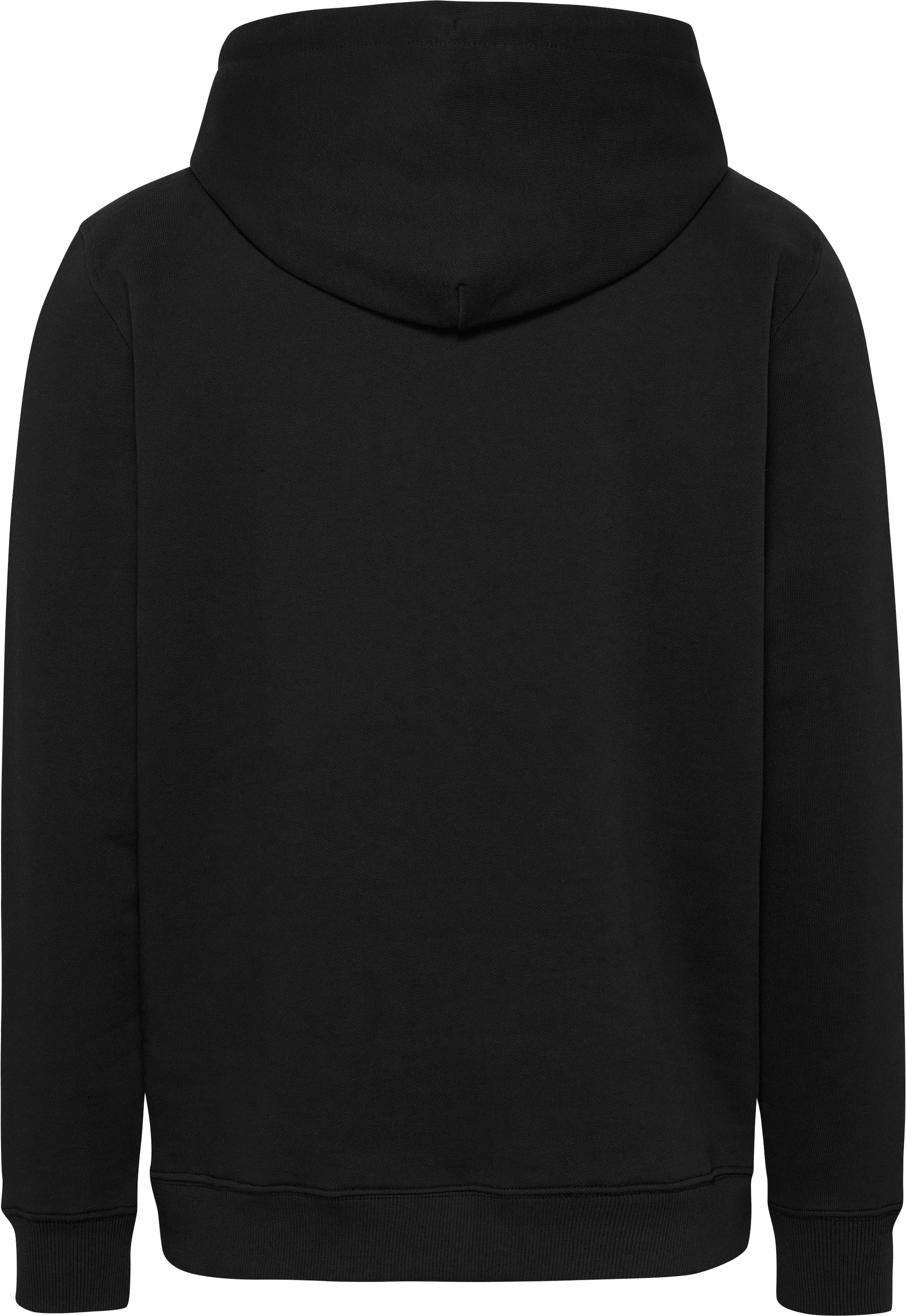 Tommy Jeans Hoodie »TJM REG DNA FLAG TWIST HOOD EXT«, mit grossem Logo