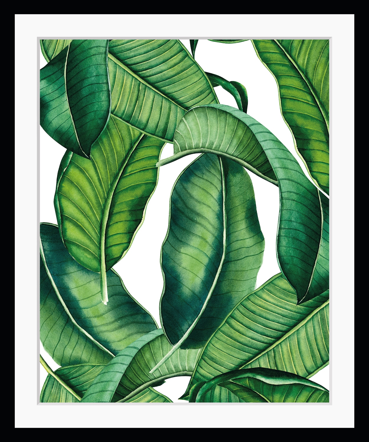 Image of queence Bild "Holmes" Blumen Blätter Pflanzen Pflanzenbilder HD Premium Poster-Druck inkl. Holzrahmen