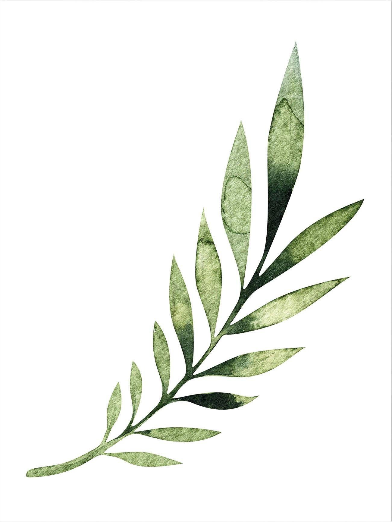 Image of Wall-Art Poster »Kvilis - Palm Leaf«, Poster, Wandbild, Bild, Wandposter bei Ackermann Versand Schweiz