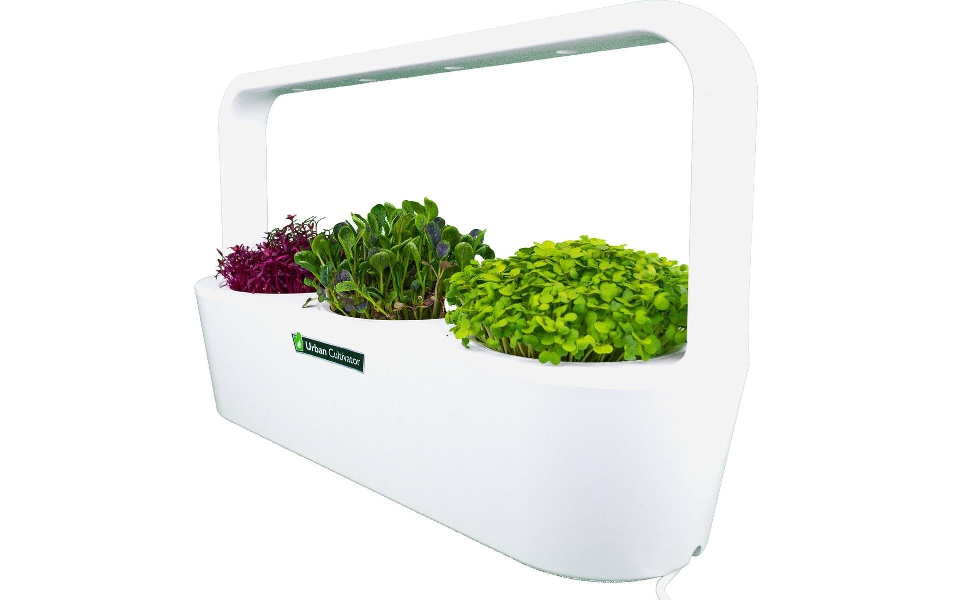 Image of Click and Grow Pflanzschale "MicroBuddy, 38 cm" Kompakter Indoor-Kultivator für frische Microgreens