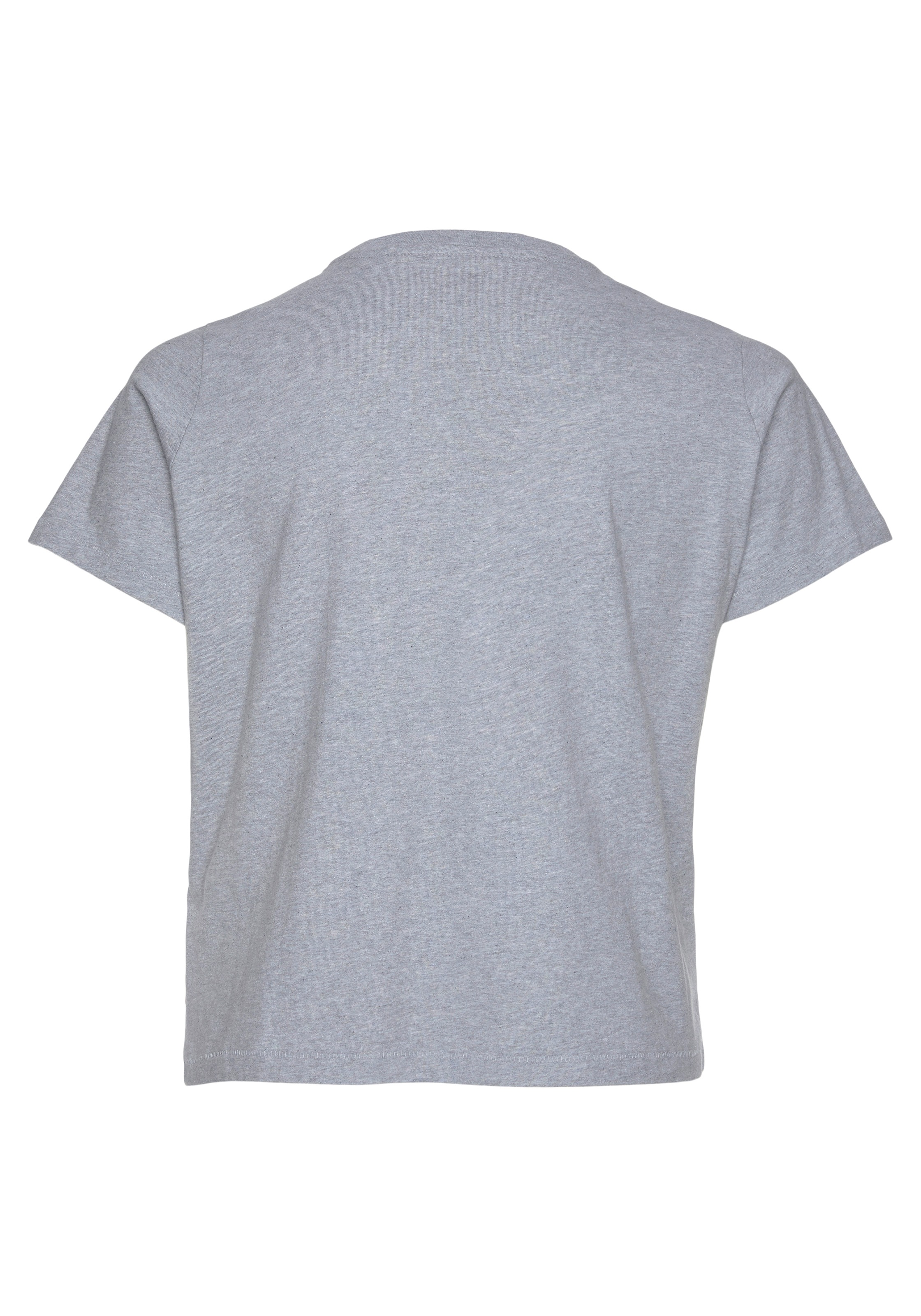 Levi's® Plus Kurzarmshirt »PL GRAPHIC CLASSIC TEE«