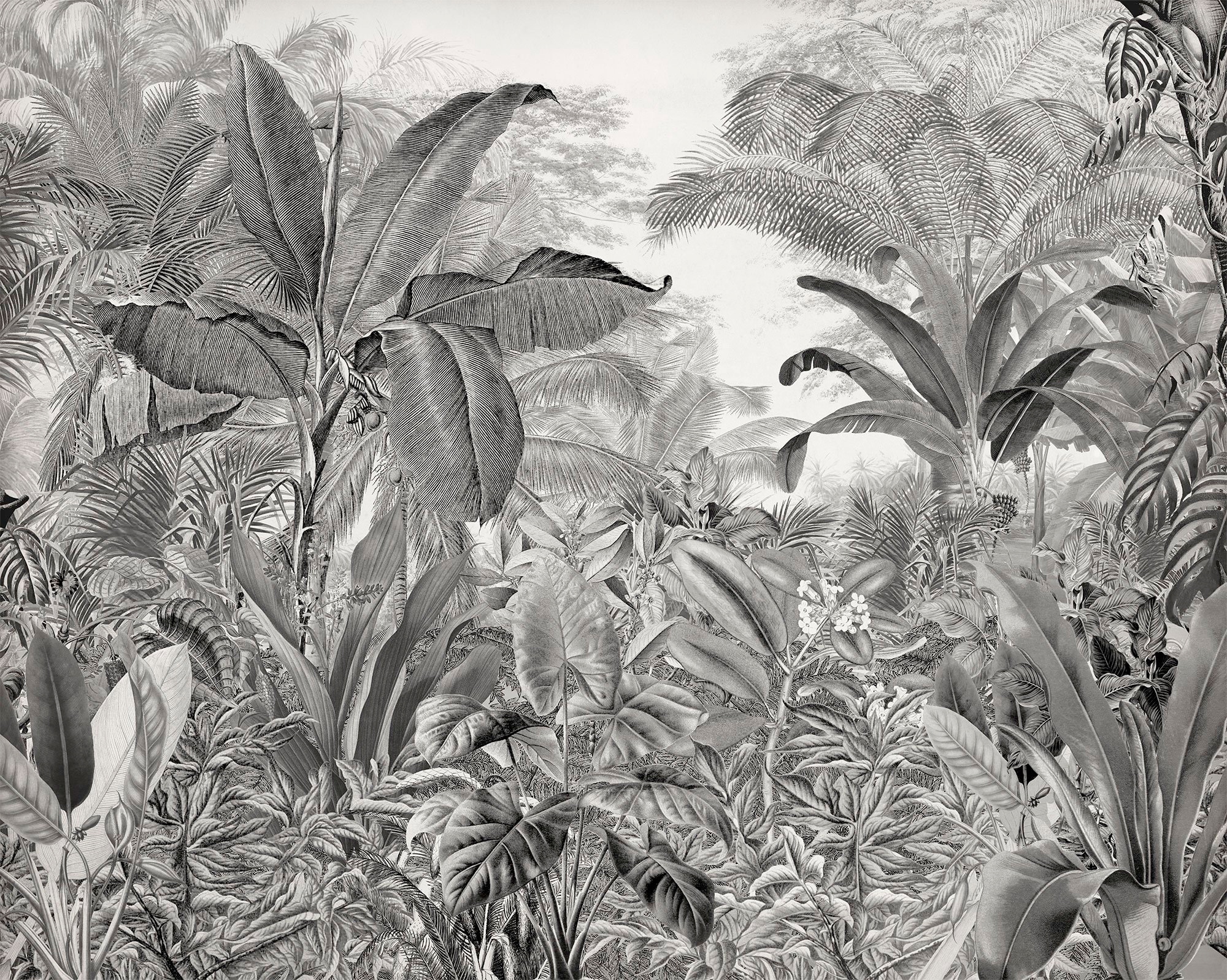 Image of Komar Vliestapete "Digitaldruck Vlies - Roraima - Grösse 350 x 280 cm" bedruckt glatt Kinderzimmer