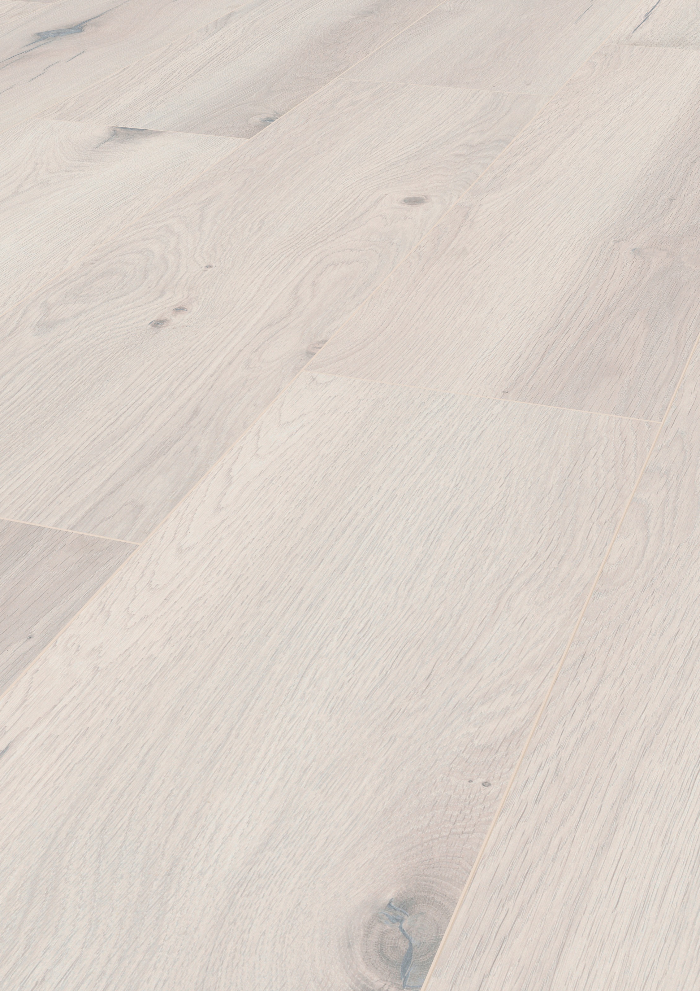 Image of ter Hürne Laminat »Eiche alabaster«, mit fühlbarer Oberfläche und Klicksystem bei Ackermann Versand Schweiz