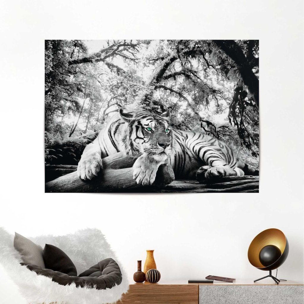 Reinders! Poster »Tiger«