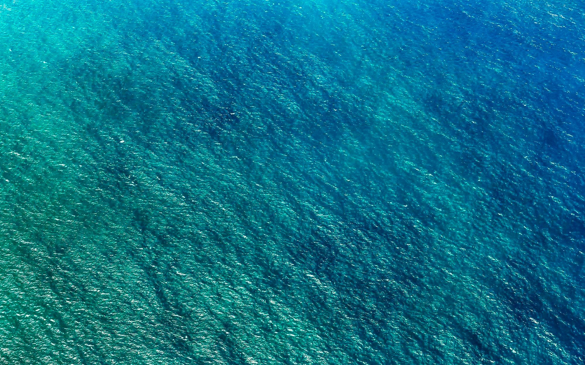 Image of Komar Vliestapete »Pure Blaupause«, Strand bei Ackermann Versand Schweiz
