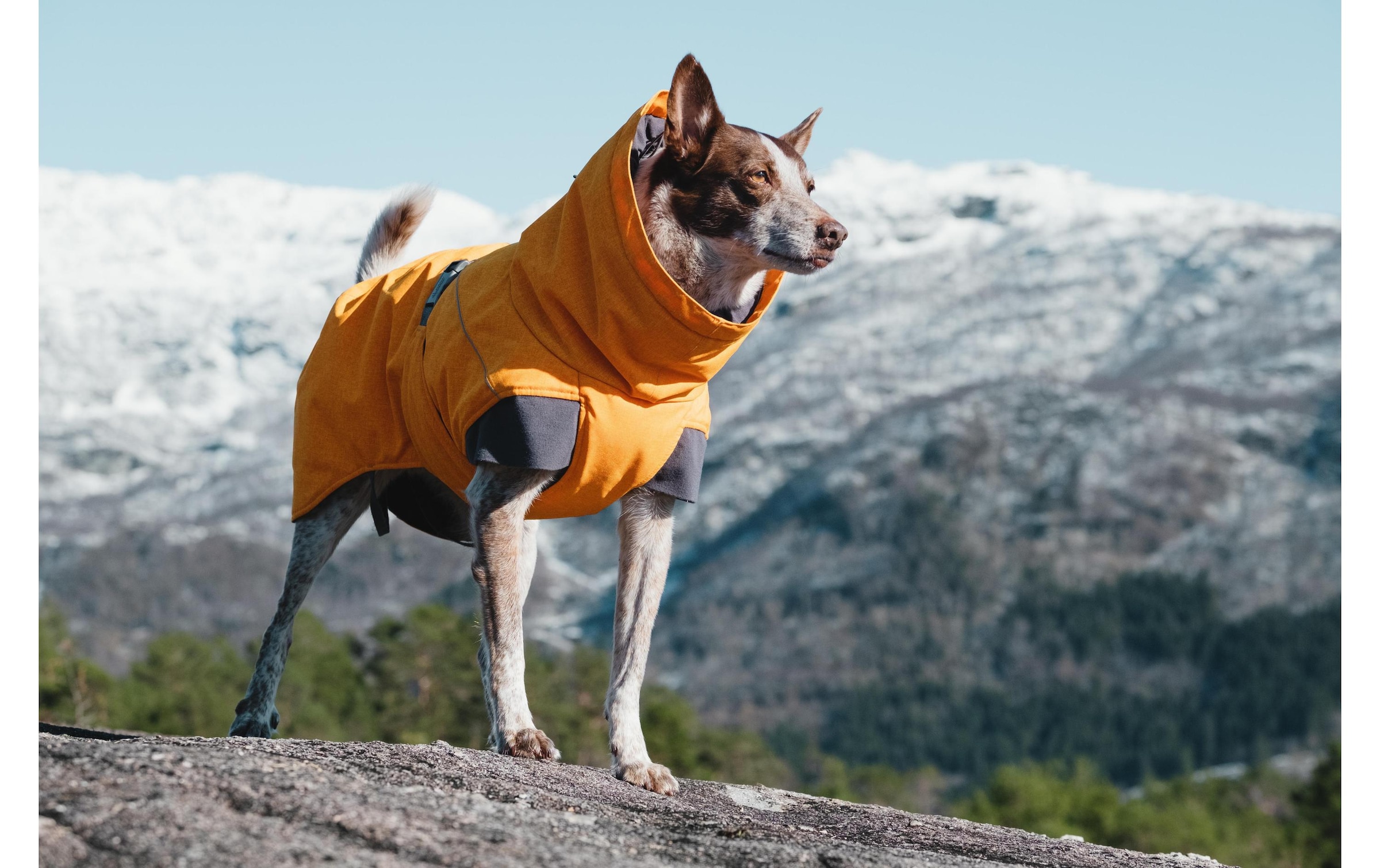 HURTTA Hunderegenmantel »Expedition Park« Polyester