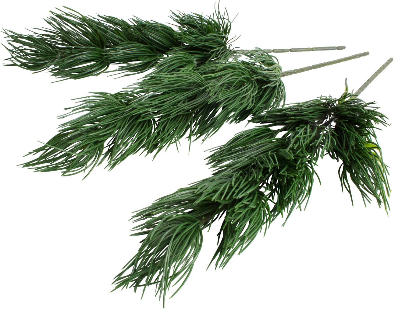Image of Botanic-Haus Kunstzweig »Pinienzweig«, (Set, 3 St.) bei Ackermann Versand Schweiz