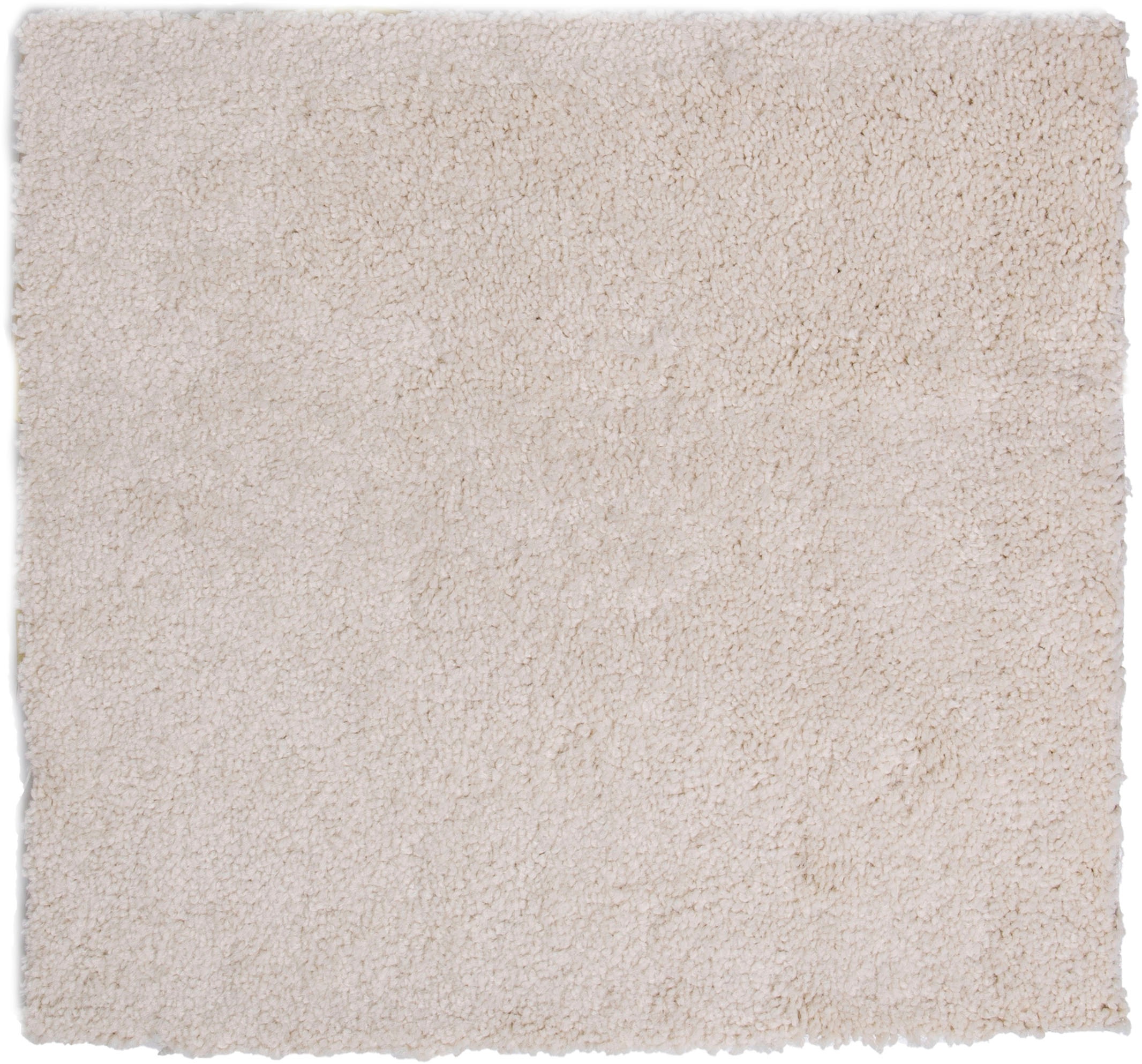 Image of Andiamo Teppichboden »Sophie«, rechteckig, 12 mm Höhe, Meterware, Breite 400 cm oder 500 cm, Frisee-Velours, Wohnzimmer bei Ackermann Versand Schweiz