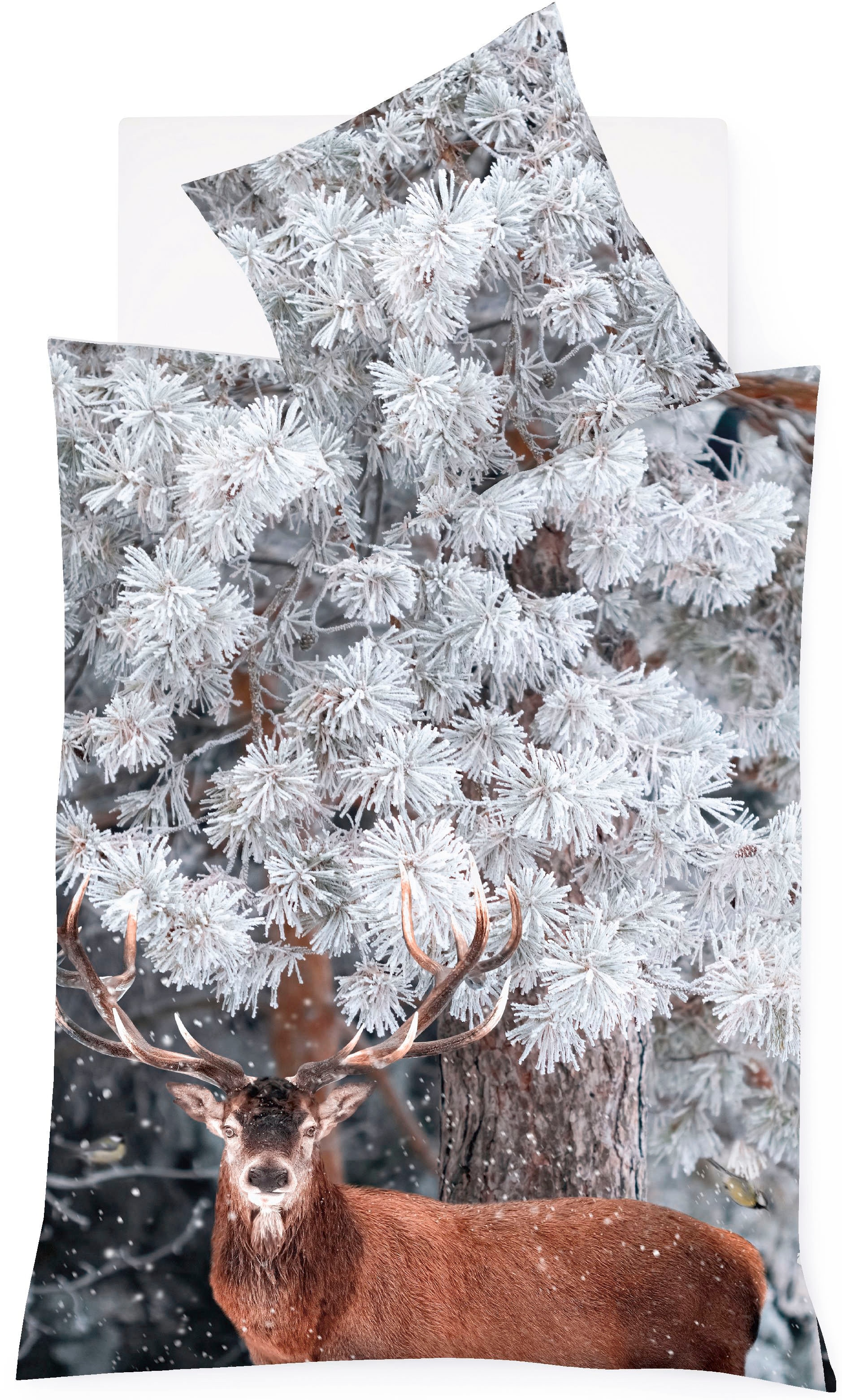 fleuresse Bettwäsche »Aspen 4381«, (2 tlg.), Feinbiber, Baumwolle, in Gr. 135x200, 155x220, 200x200cm