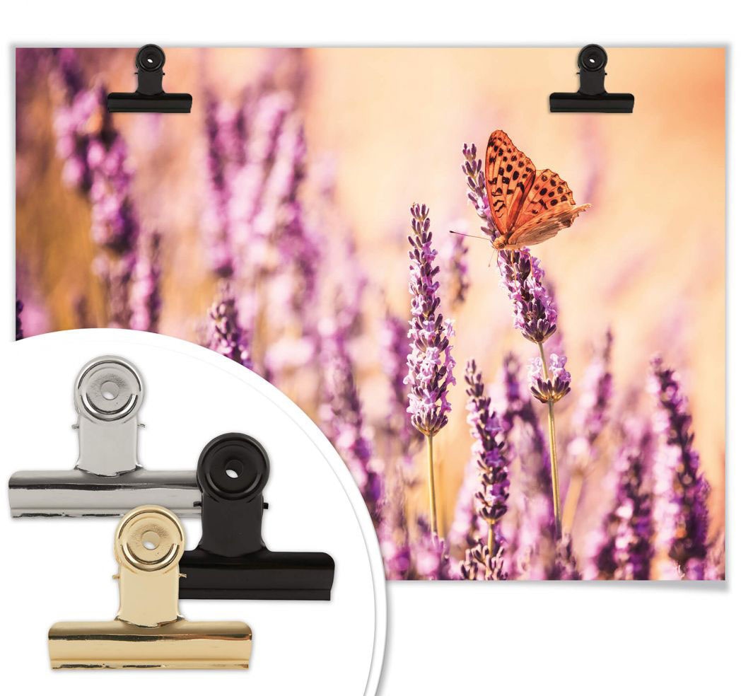 Wall-Art Poster »Schmetterling Lavendel«, Schmetterlinge, (1 Wandbild, Bild, Poster, St.), bequem Wandposter kaufen