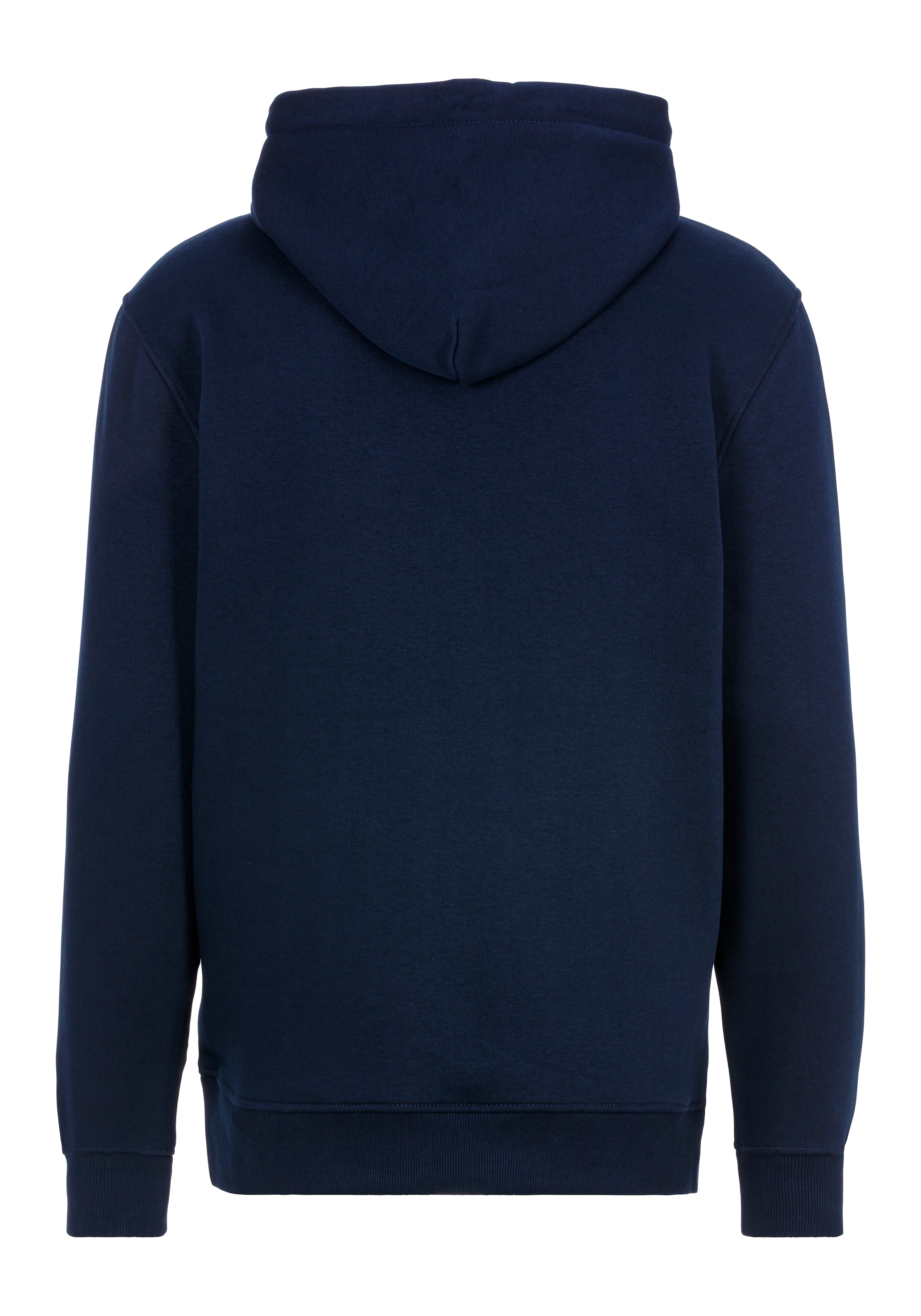 Tommy Jeans Hoodie »TJM REG LINEAR LOGO HOODIE EXT«, mit Logo-Stickerei