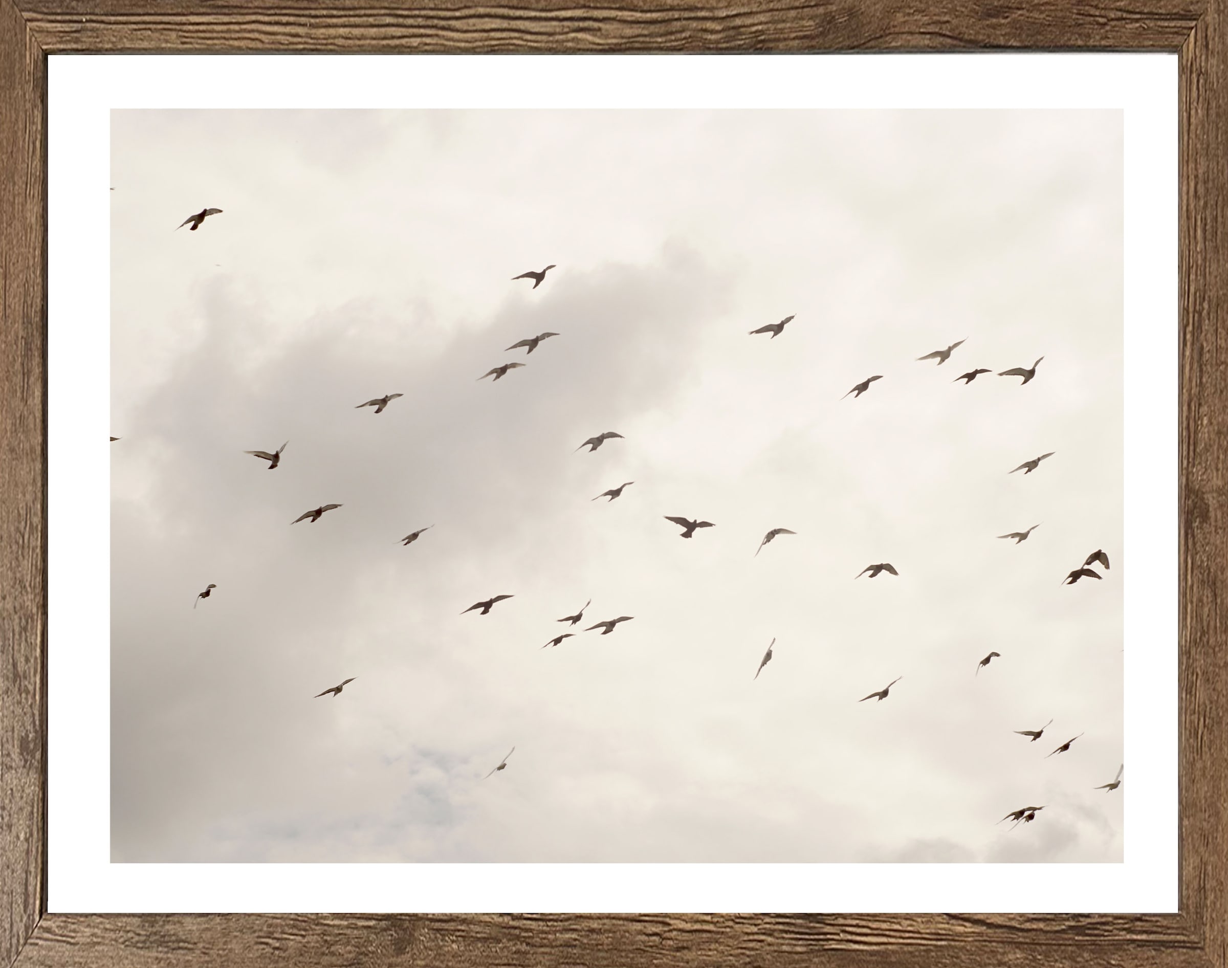 Image of Bönninghoff Bild mit Rahmen "Wandbild gerahmt VÖGEL AM HIMMEL 40x50 cm – Wanddeko Natur Minimal" Himmel Landschaft Natur Vogelbilder Vögel 1 Stk. tlg. mit dekorativem Rahmen