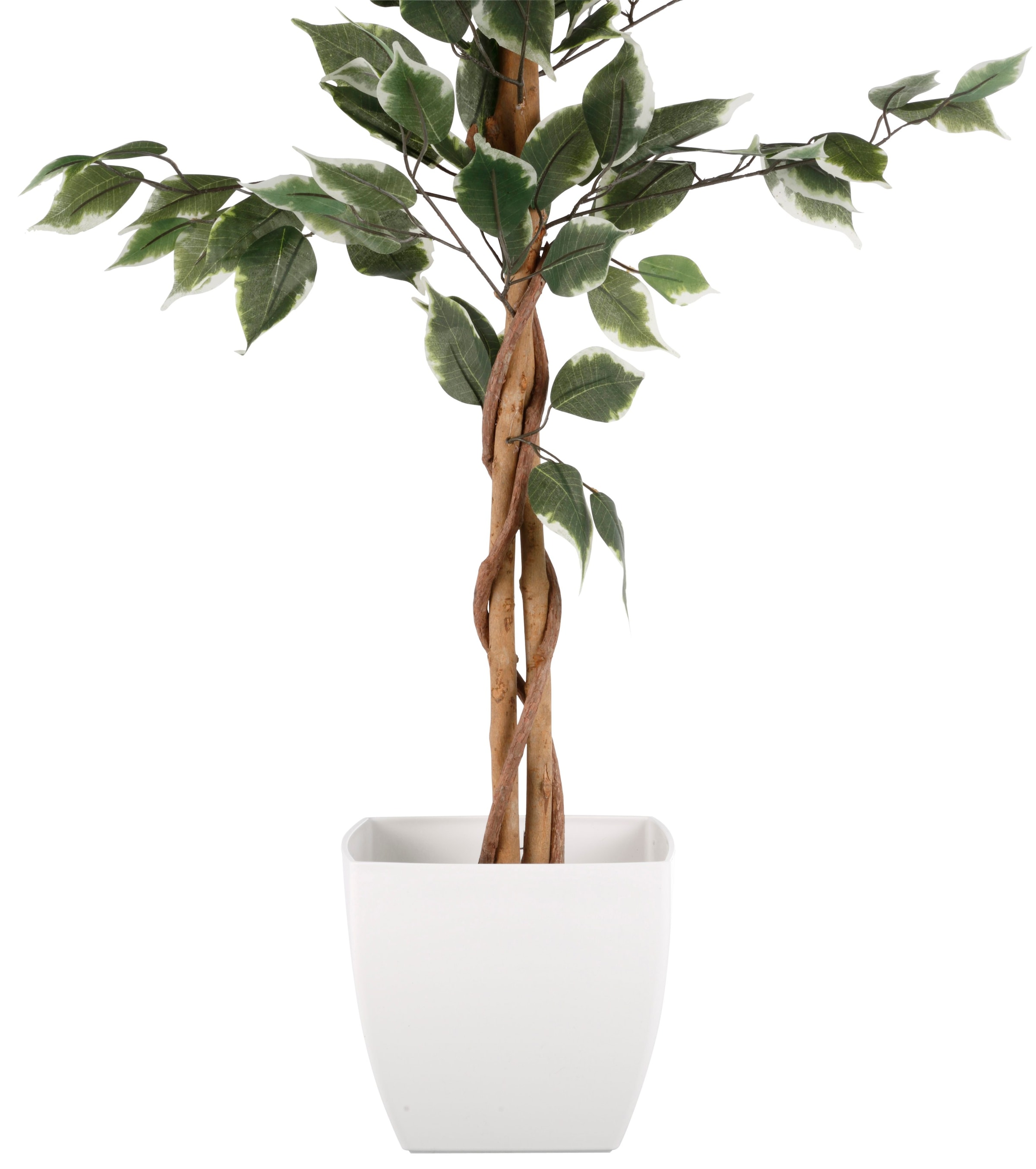 Creativ green Kunstpflanze »Ficus Benjamini«