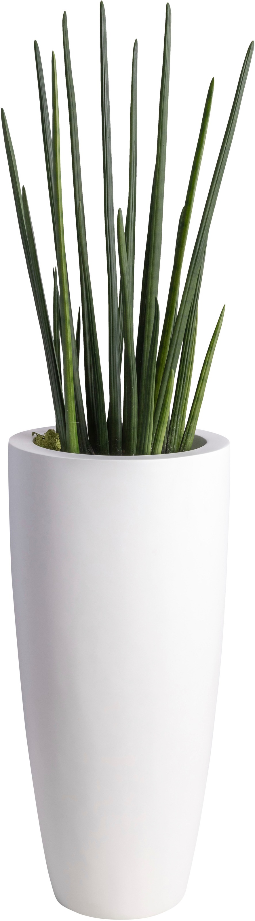 Kunstpalme »Baton« (1 Stück)