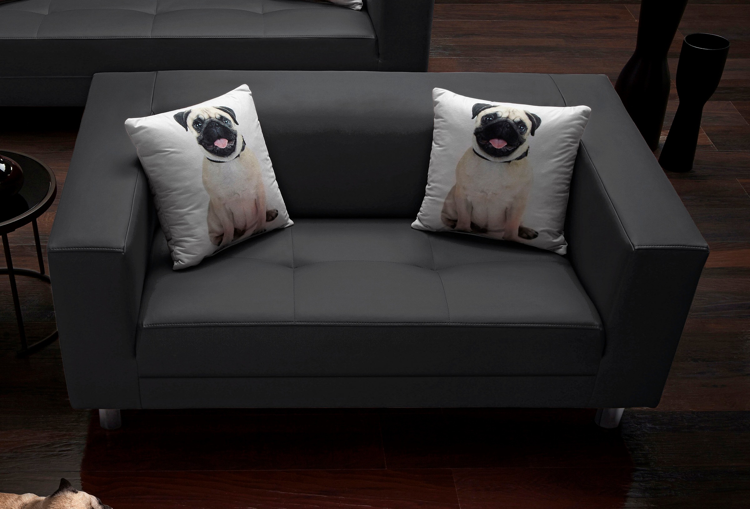 Image of COLLECTION AB 2-Sitzer, mit 2 lustigen Hunde-Zierkissen, frei im Raum stellbar bei Ackermann Versand Schweiz