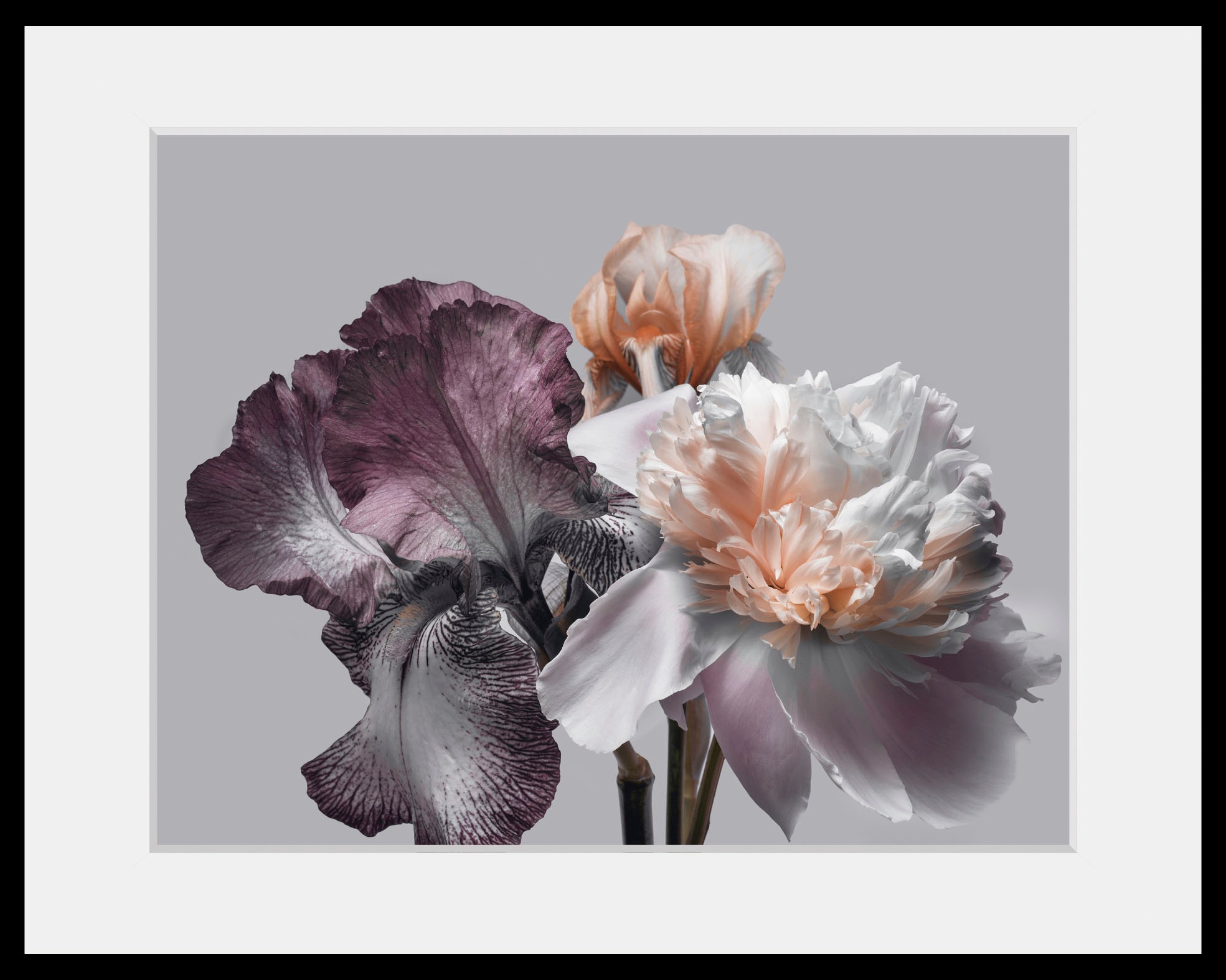 Image of queence Bild »Vesna«, Blumen, (1 St.) bei Ackermann Versand Schweiz