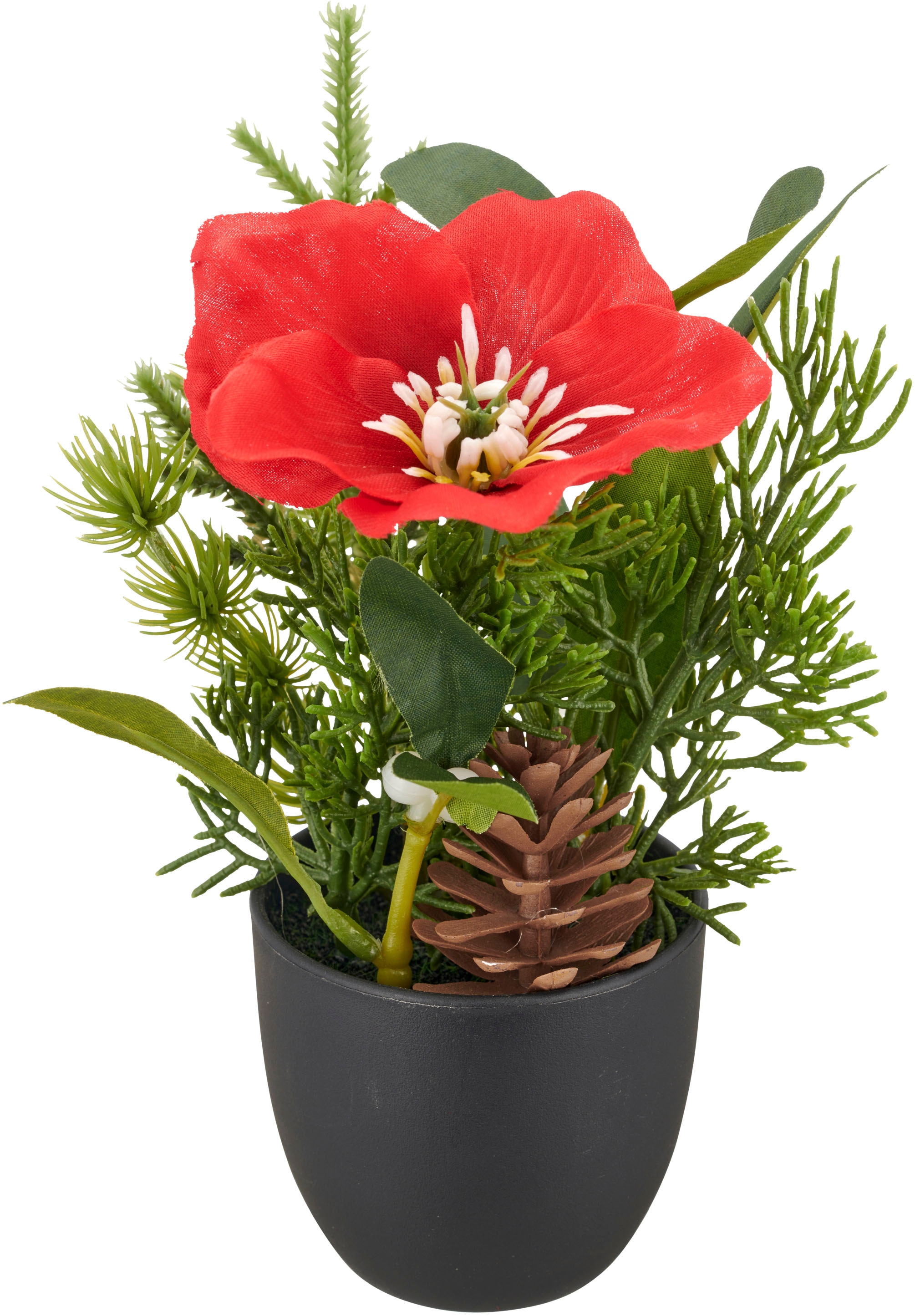 Creativ green Winterliche Kunstpflanze »Arrangement mit Christrose« mit Tannenzweigen und Zapfen