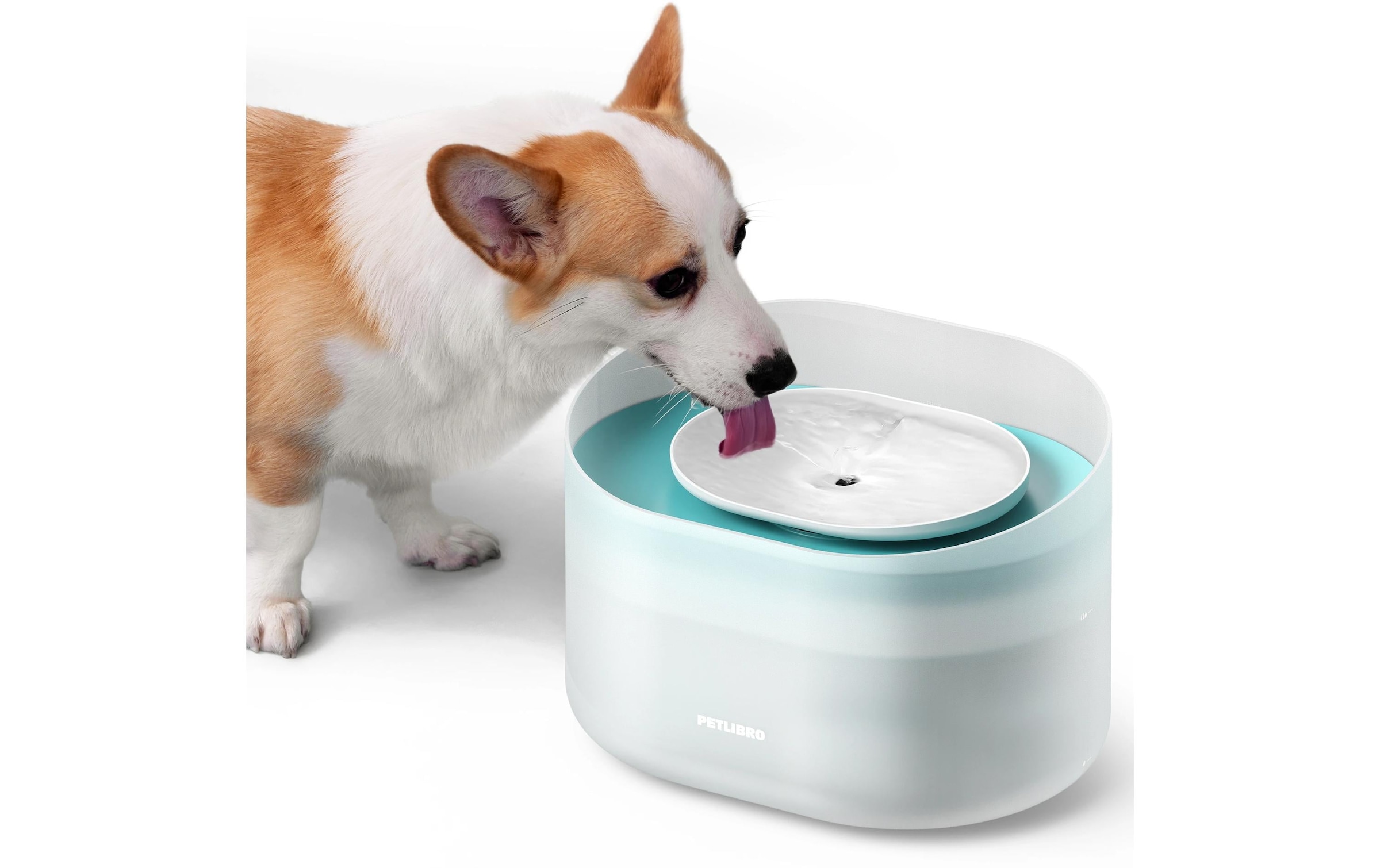   Trinkbrunnen »Petlibro Capsule Dog Fountain 8 l« Automatischer Trinkbrunnen