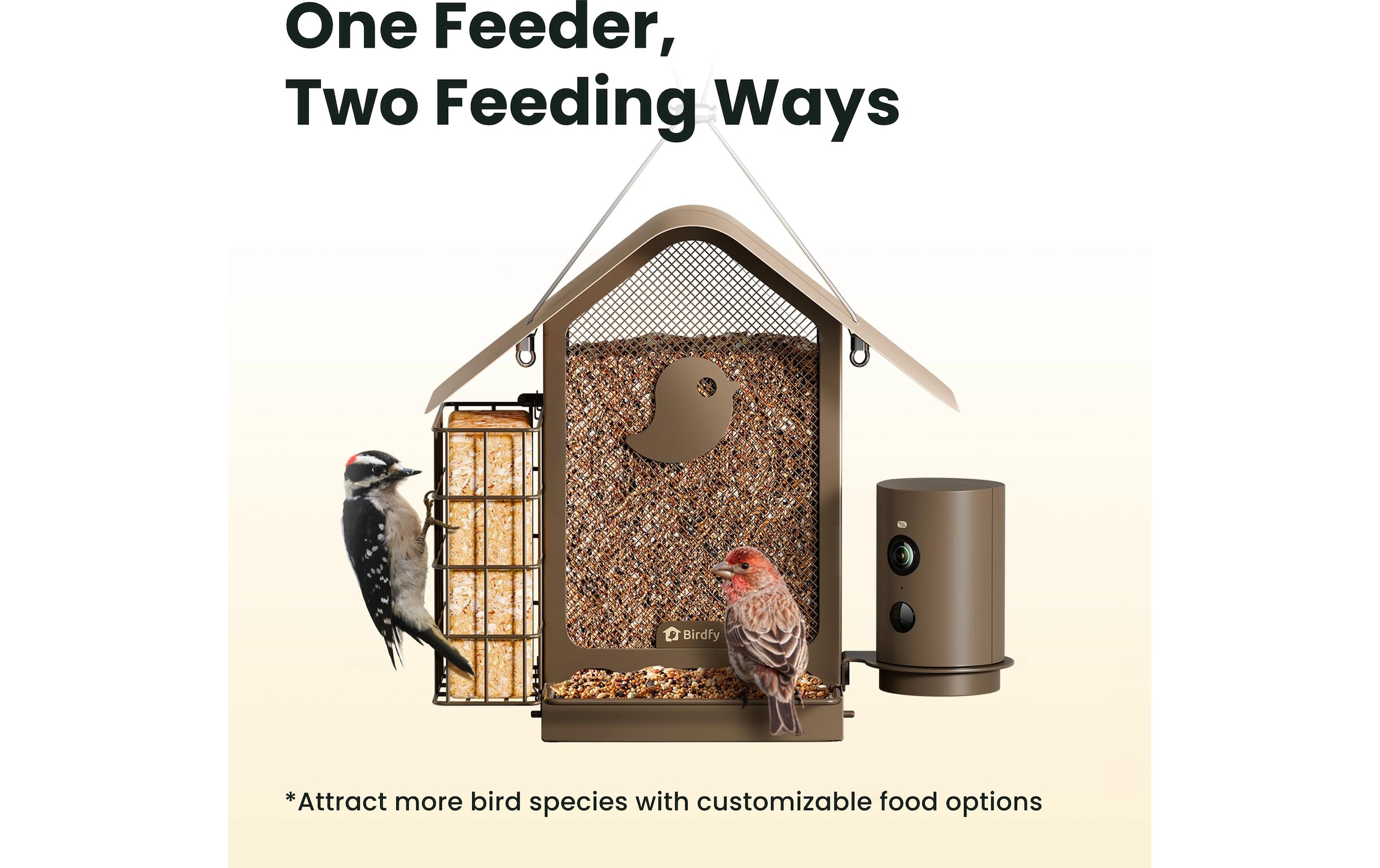 Birdfy Distributeur de nourriture »Metall V 1080PHD mit Kamera«