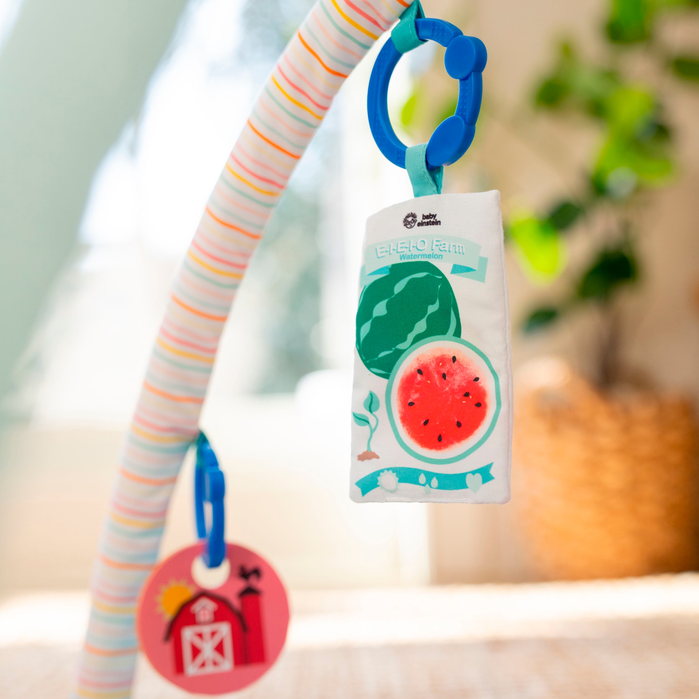 Baby Einstein Arche de jeu »Happy Harvest Touch & Feel Activity Gym« mit Soundeffekt