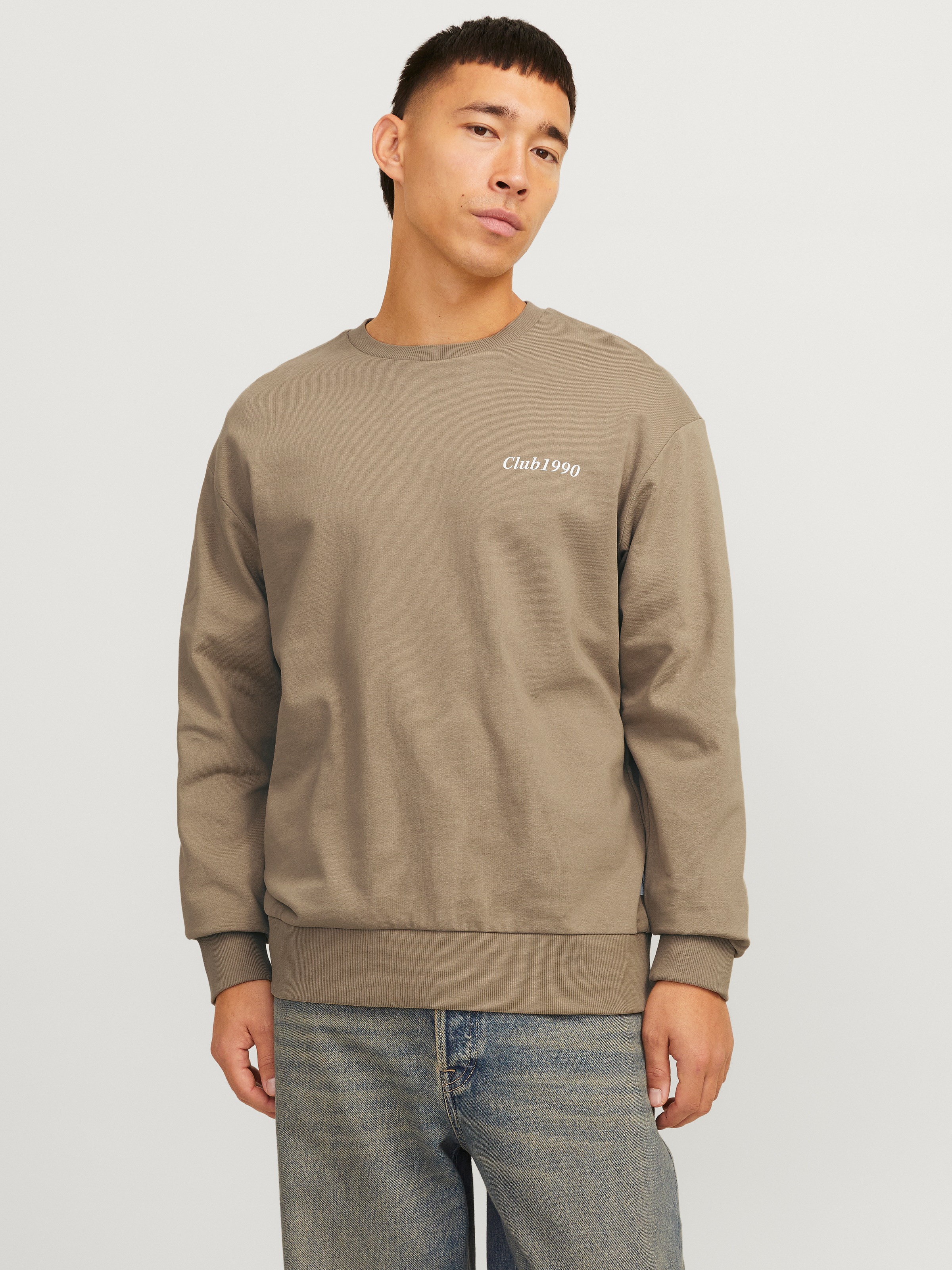 Jack & Jones Sweatshirt »JJEBRADLEY GRAPHIC SWEAT CREW NOOS«, mit Front und Back Print