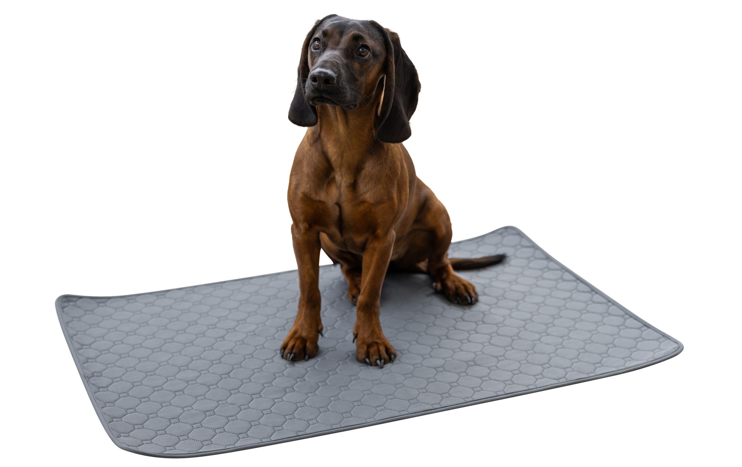 Kerbl Hundematte »Waschbare Urinunterlage 115 x 75 cm«