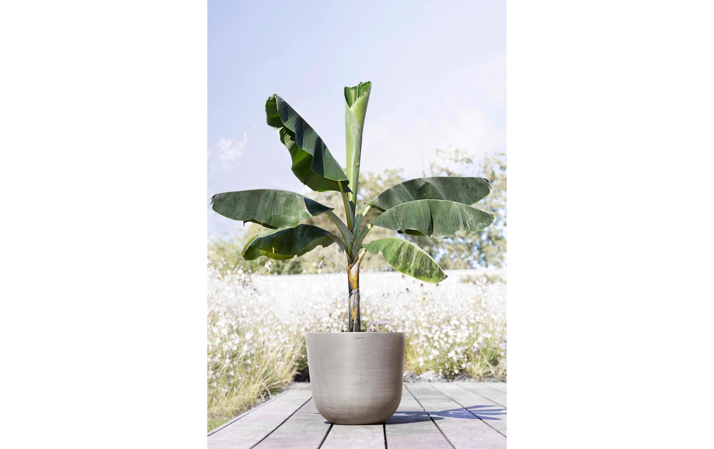 ECOPOTS Pflanzkübel »Oslo 45«, (1 St.)