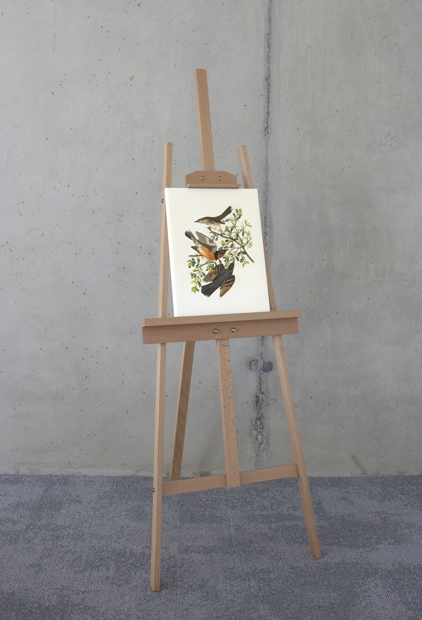 Komar Leinwandbild »Heidi - Grösse 30 x 40 cm« Natur 1 Stk. tlg. Keilrahmenbild mi Echtholzrahmen