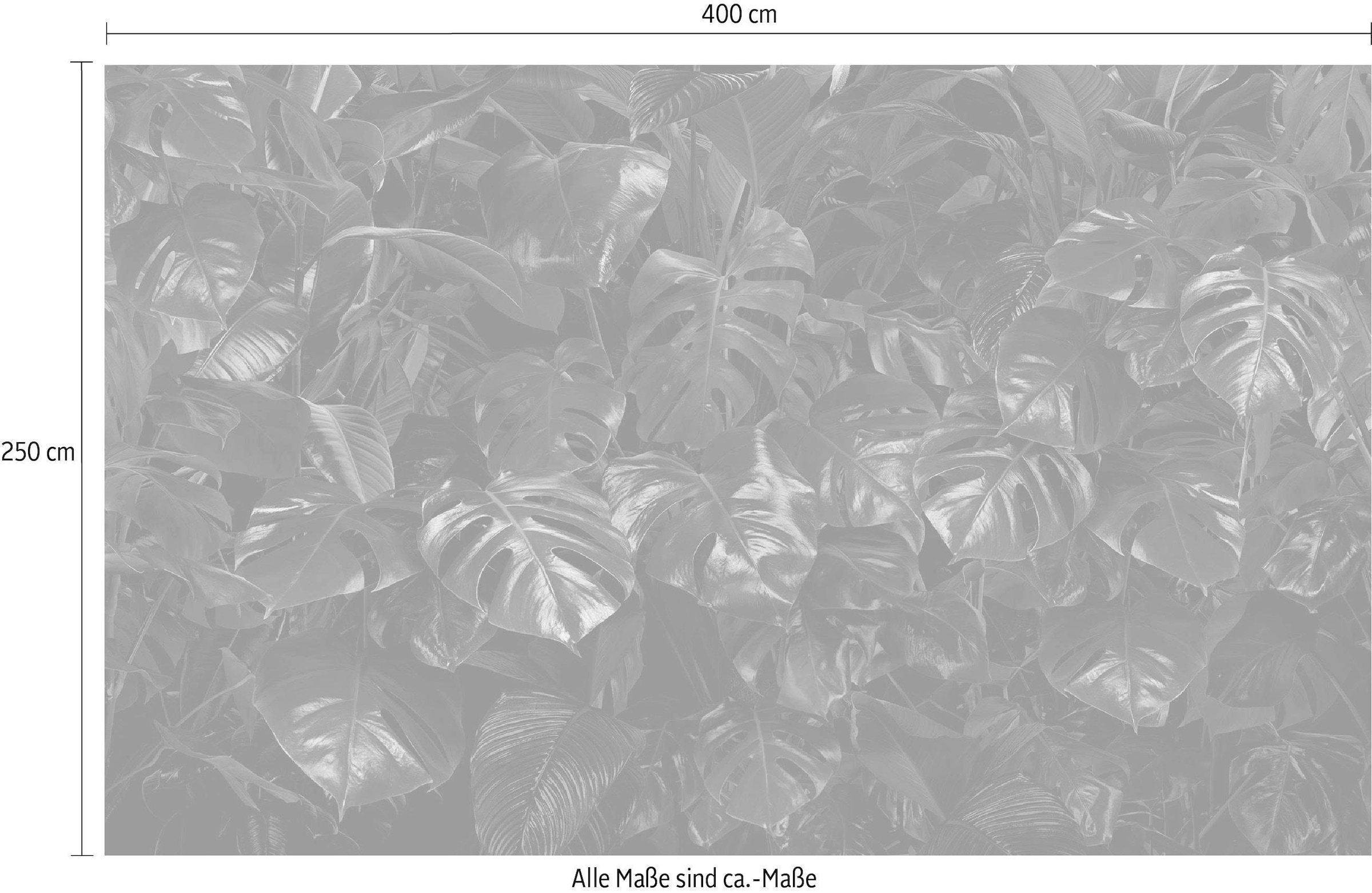Komar Vliestapete »Digitaldruck Vlies -  Tropical Wall - Grösse 400 x 250 cm« bedruckt glatt Wohnzimmer, Schlafzimmer