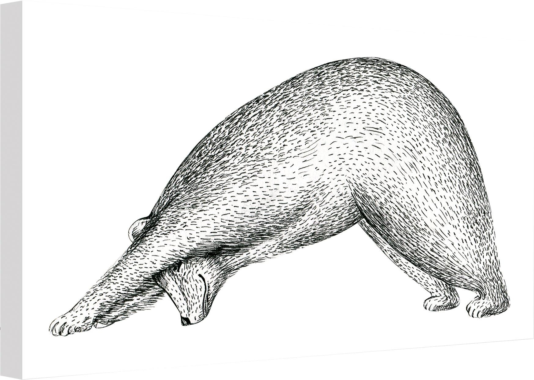 Image of Wall-Art Leinwandbild »Kvilis - Yoga Bär 01« bei Ackermann Versand Schweiz