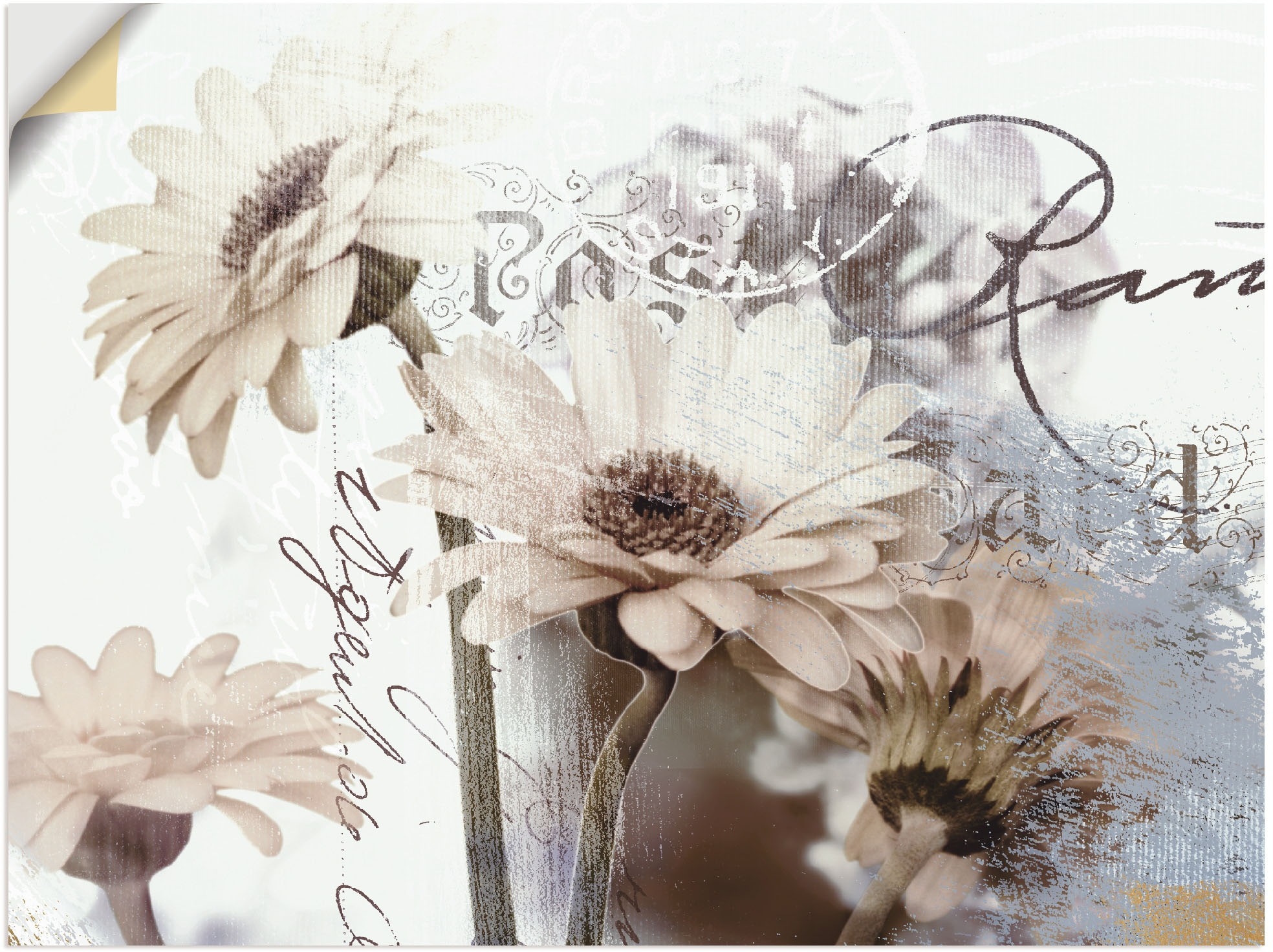Artland Wandbild »Gerberas_Detail«, (1 Poster Blumenbilder, St.), oder Grössen günstig als Wandaufkleber versch. kaufen in Leinwandbild