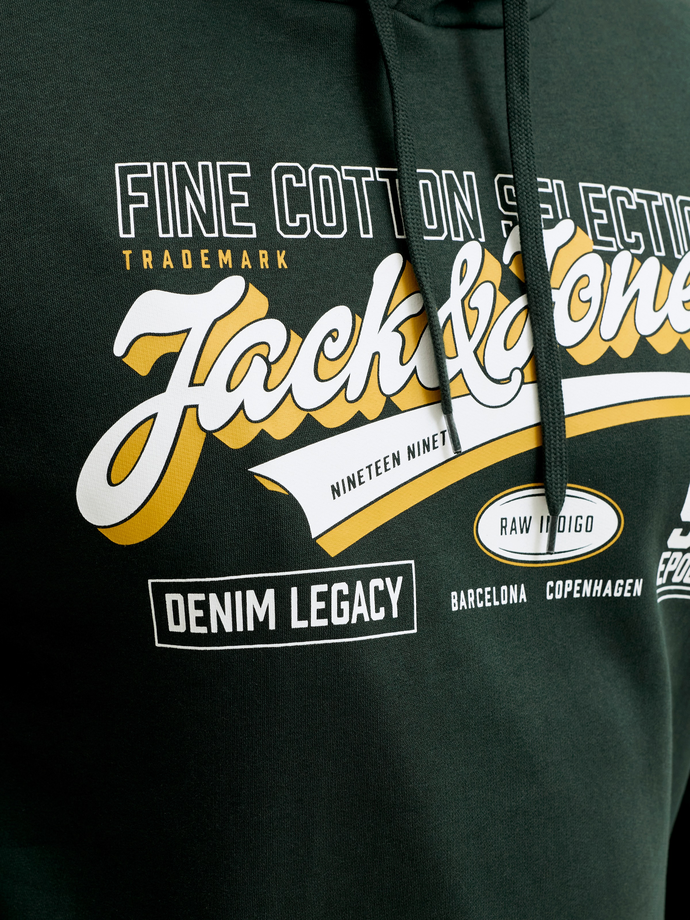 Jack & Jones PlusSize Sweat à capuche »JJELOGO SWEAT HOOD 2 COL AW26 SN PLS«, mélange coton, coupe normale
