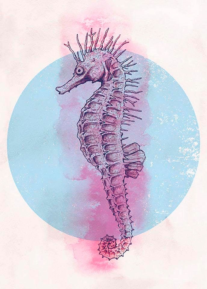 Image of Komar Poster »Sea Horse Circle«, Tiere, Höhe: 50cm bei Ackermann Versand Schweiz