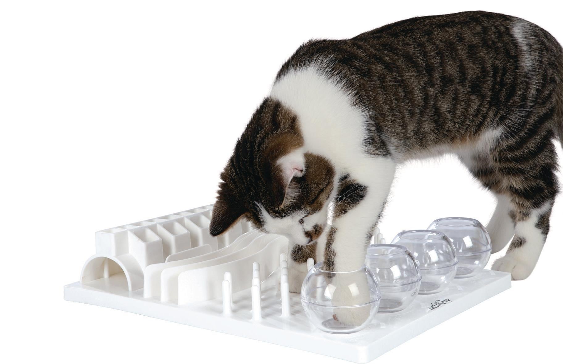 TRIXIE Tier-Intelligenzspielzeug »Cat Activity Fun Board, 30 × 40cm«, Kunststoff