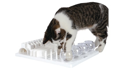 Tier-Intelligenzspielzeug »Cat Activity Fun Board, 30 × 40cm«, Kunststoff