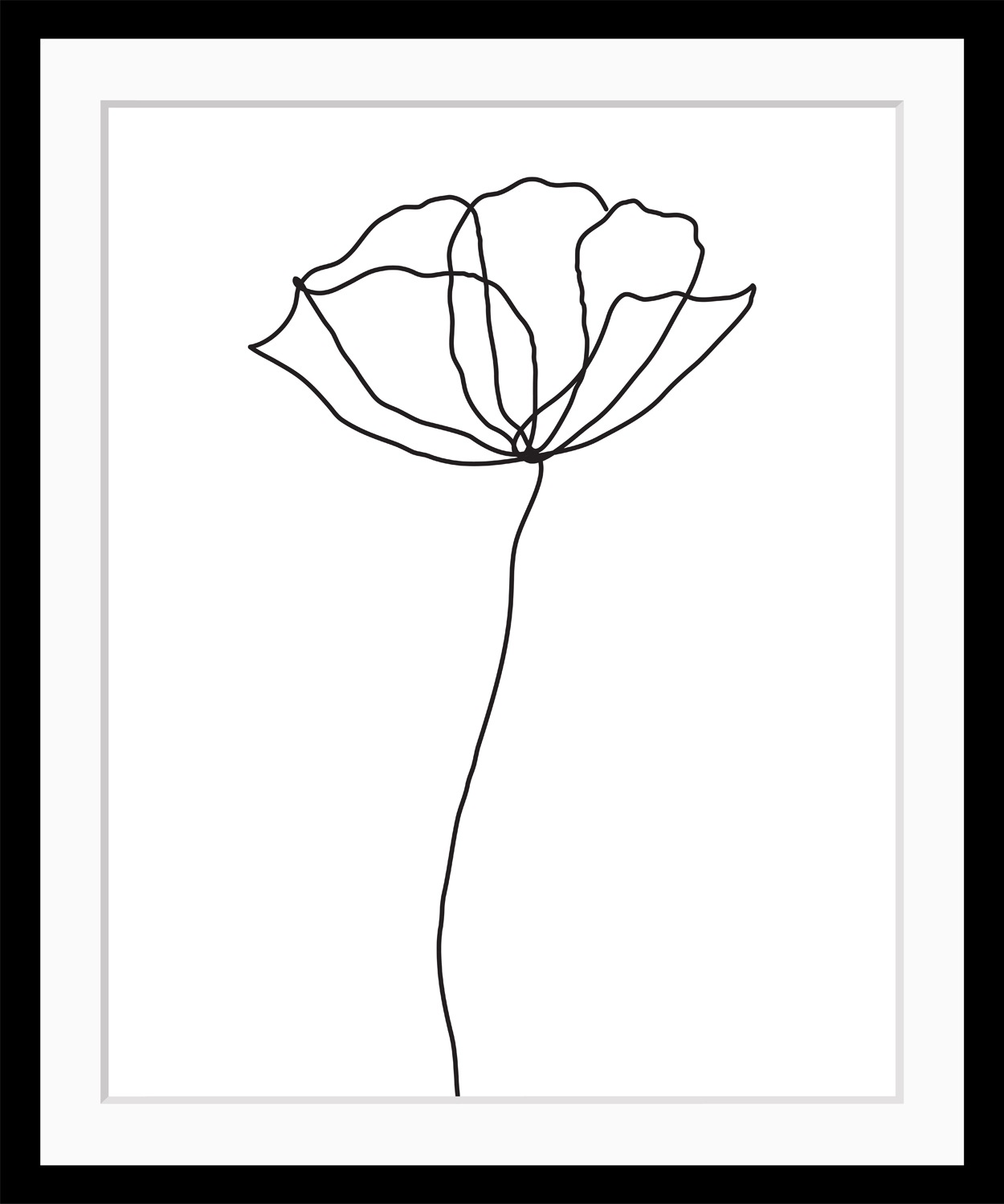 queence Bild »Susanne« Blumen | Blumenbilder | Kunst | Pflanzen | Pflanzenbilder | Schwarz-Weiss Rose, gerahmt
