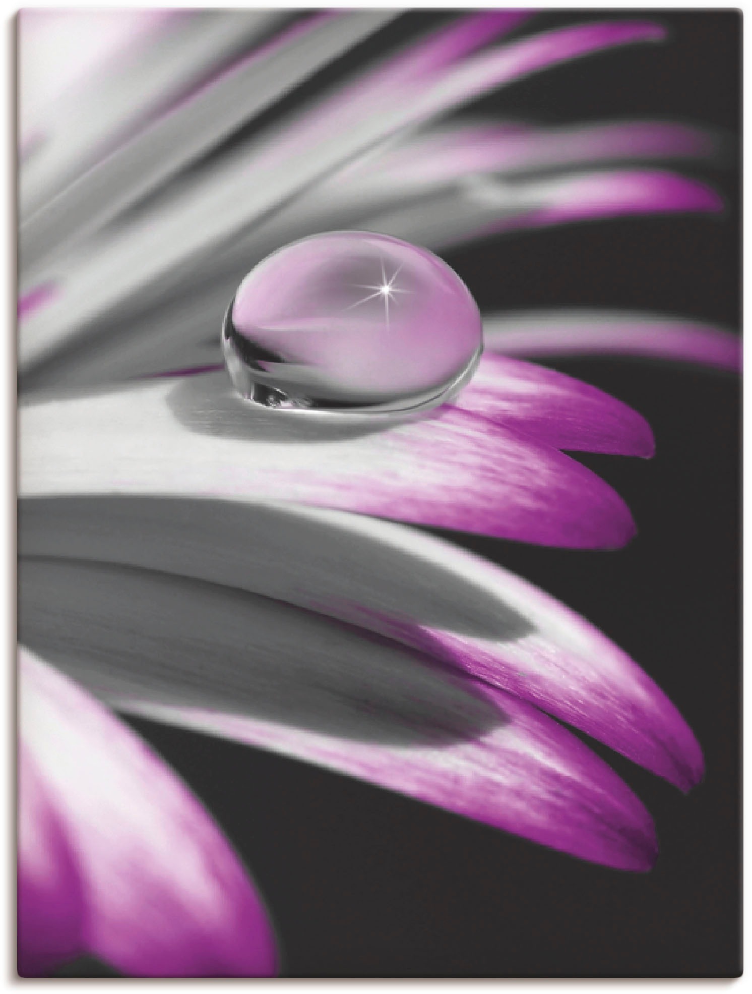 Image of Artland Wandbild »Tropfen«, Blumen, (1 St.), in vielen Grössen & Produktarten -Leinwandbild, Poster, Wandaufkleber / Wandtattoo auch für Badezimmer geeignet bei Ackermann Versand Schweiz