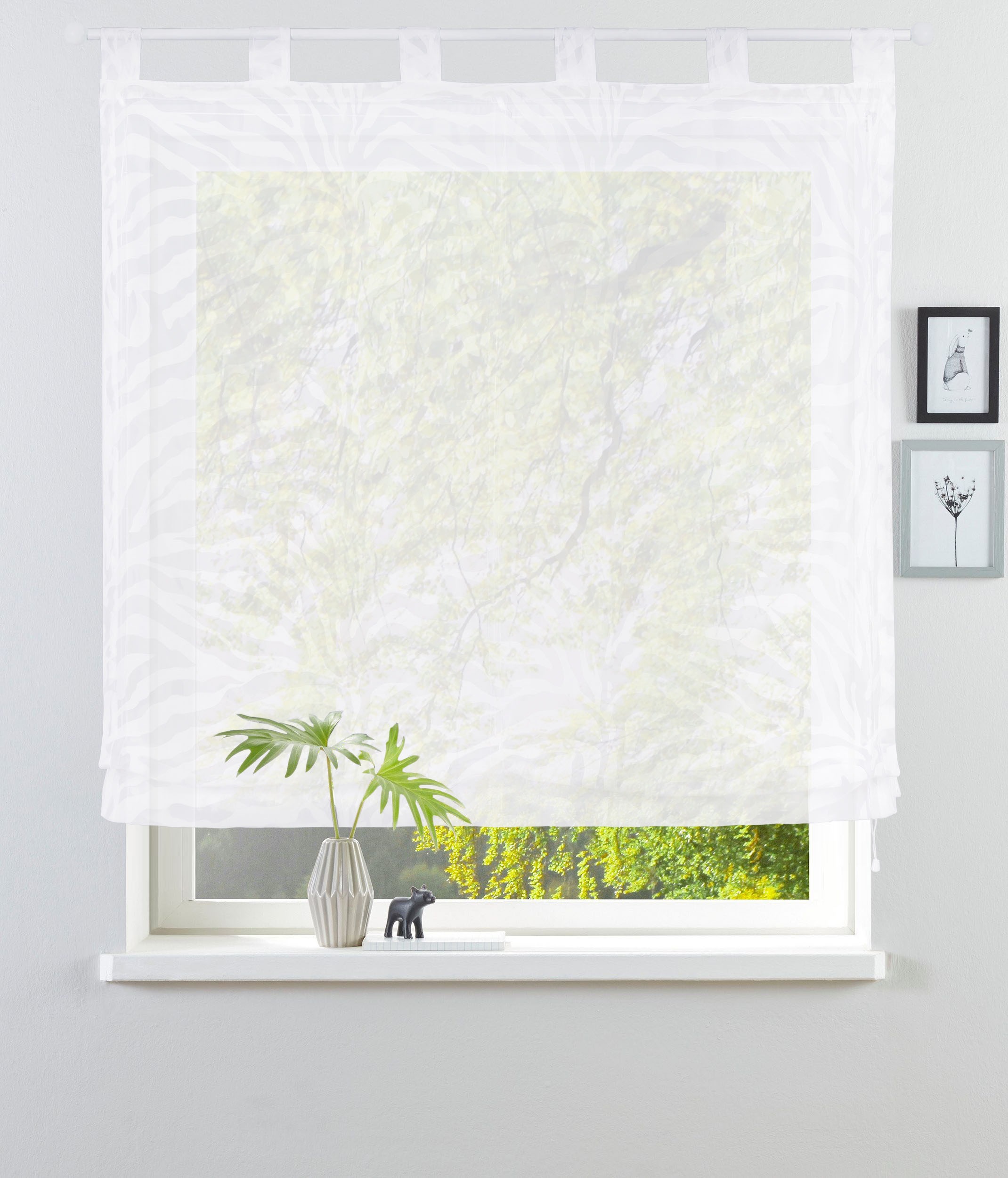 Image of Bruno Banani Raffrollo »Zebra«, mit Schlaufen, halbtransparent, verschiedene Grössen bei Ackermann Versand Schweiz