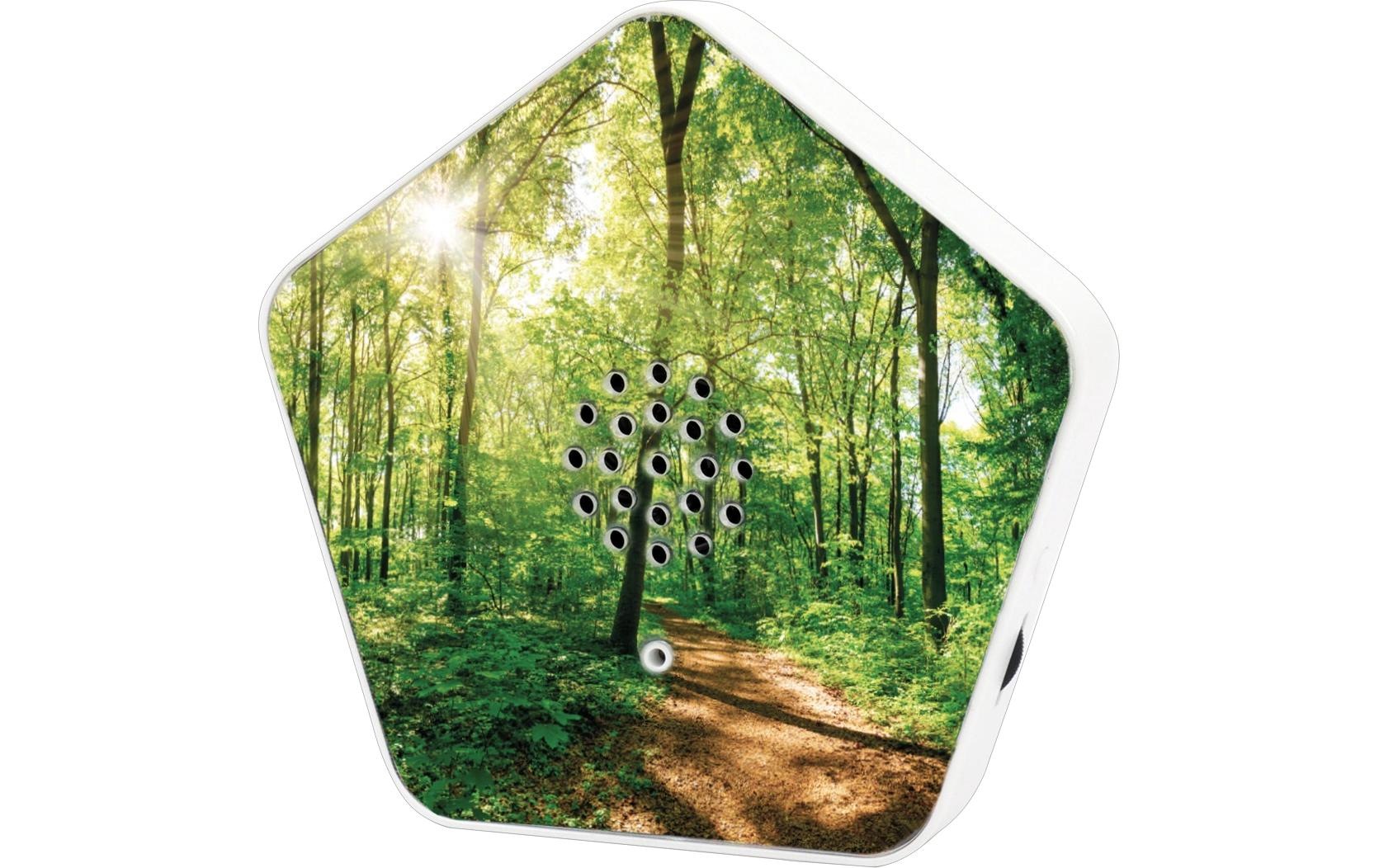   Hörspiel »OLYMP 6 Stück mit 4 Klängen und je 12 Motiven«