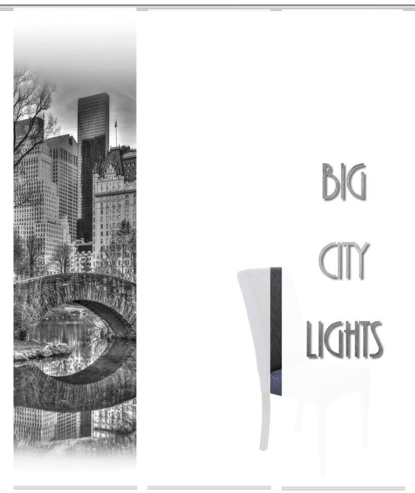 Image of HOME WOHNIDEEN Schiebegardine »TEILA 3er SET«, (3 St.), Dekostoff-Seidenoptik, Digital bedruckt bei Ackermann Versand Schweiz