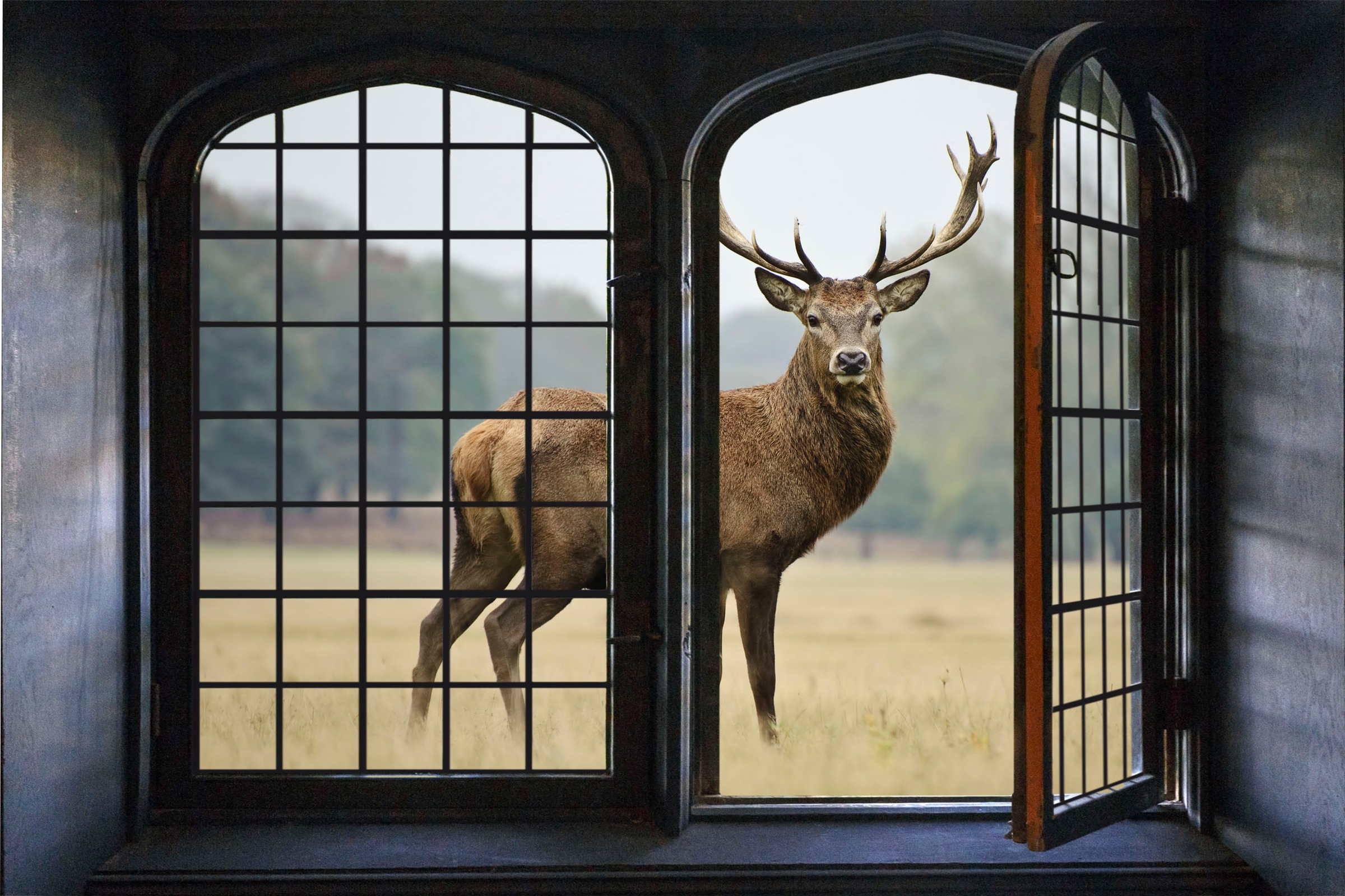 Image of queence Wandsticker "Hirsch" Wandsticker, Wandbild, selbstklebend, 3D, Fenster