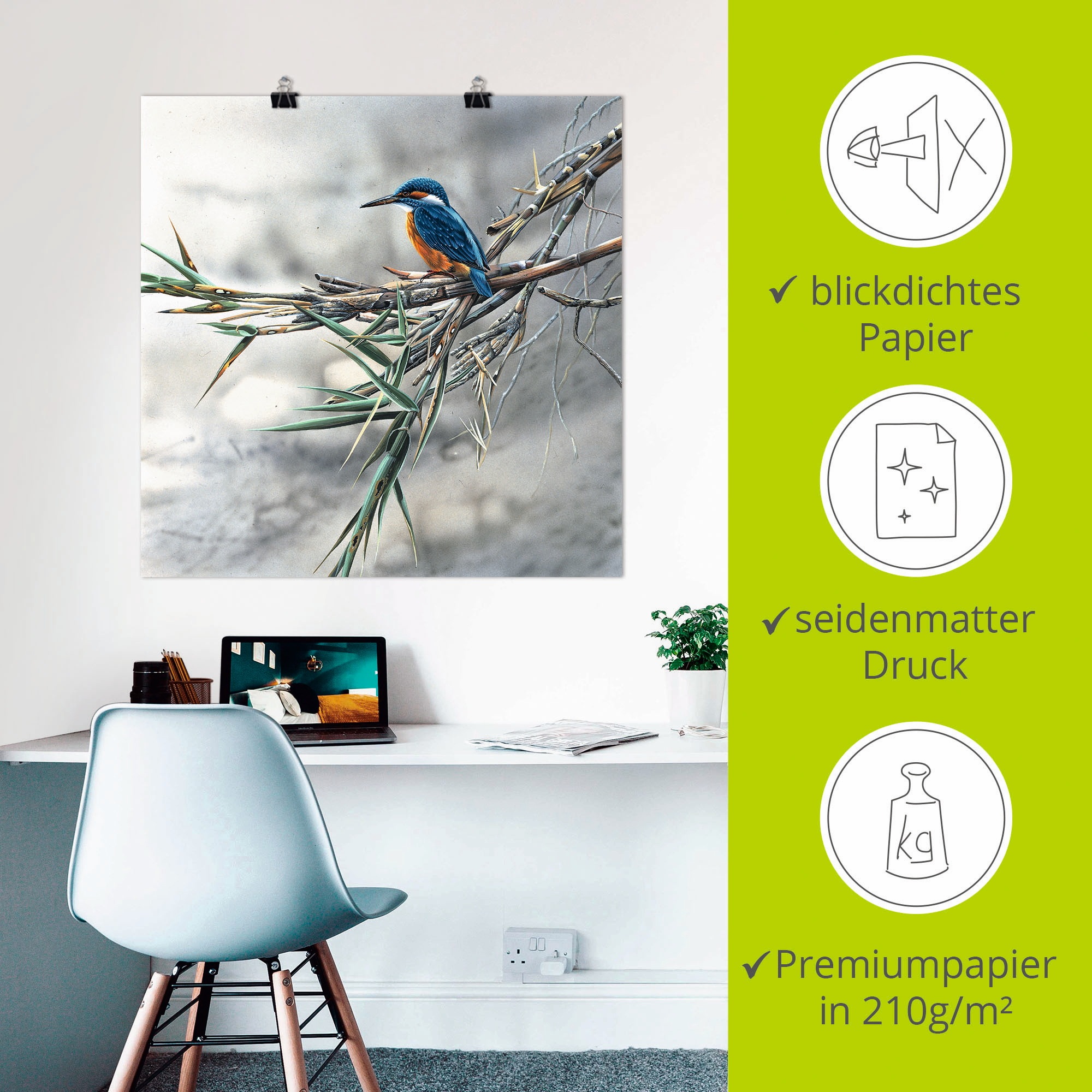 Artland Wandbild »Eisvogel I«, Vögel, (1 St.), als Leinwandbild, Poster, Wandaufkleber in verschied. Grössen