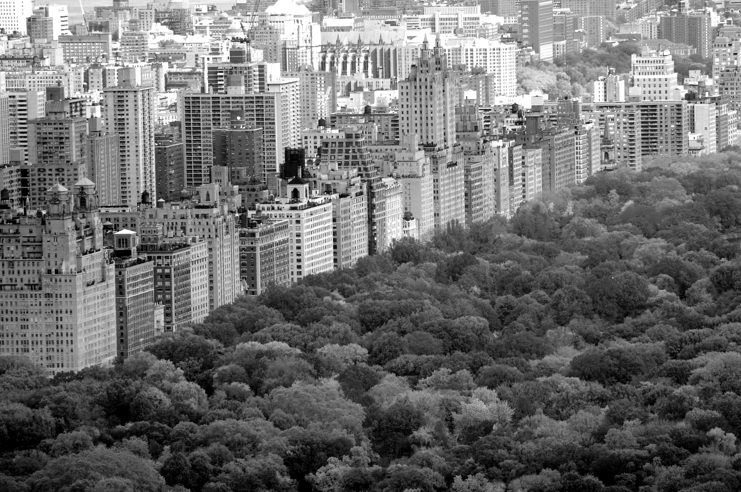 Image of Papermoon Fototapete "Central Park Schwarz & Weiss"