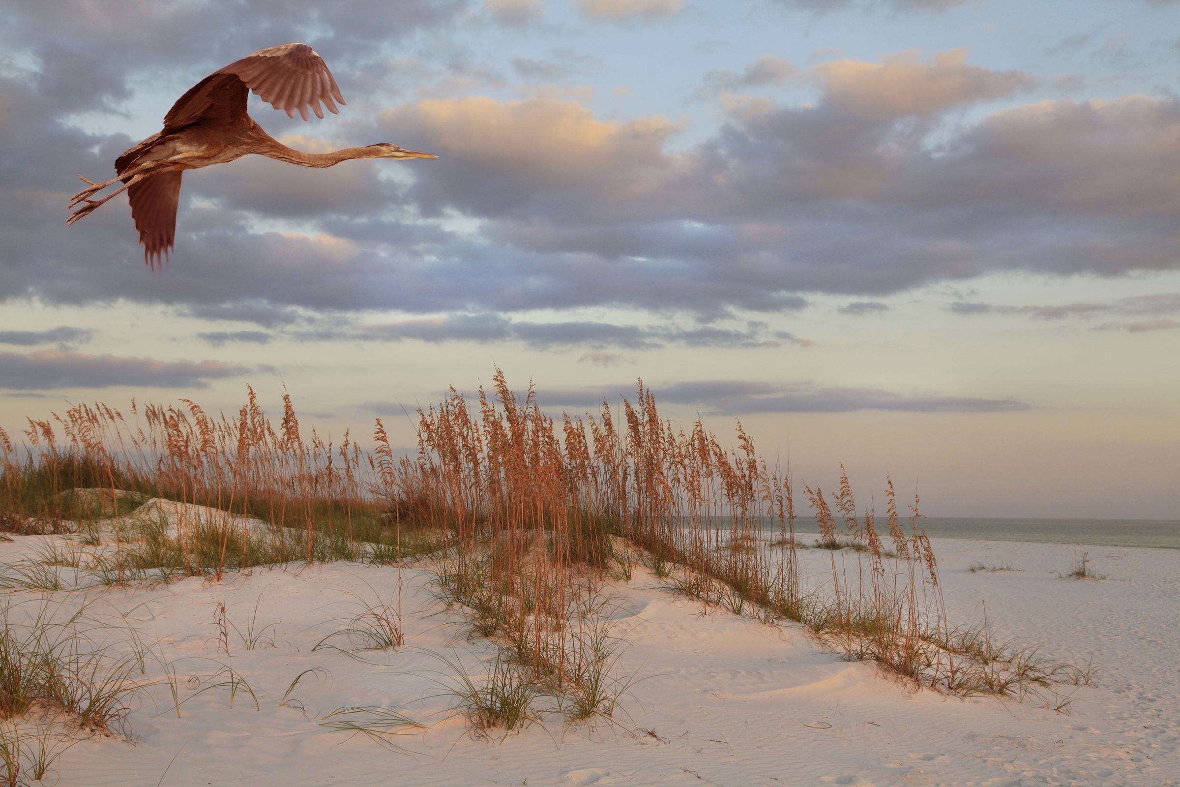 Image of Papermoon Fototapete »DÜNEN-MEER SEE KÜSTE NORDSEE OSTSEE STRAND SYLT BAUM«, Vliestapete, hochwertiger Digitaldruck, inklusive Kleister bei Ackermann Versand Schweiz
