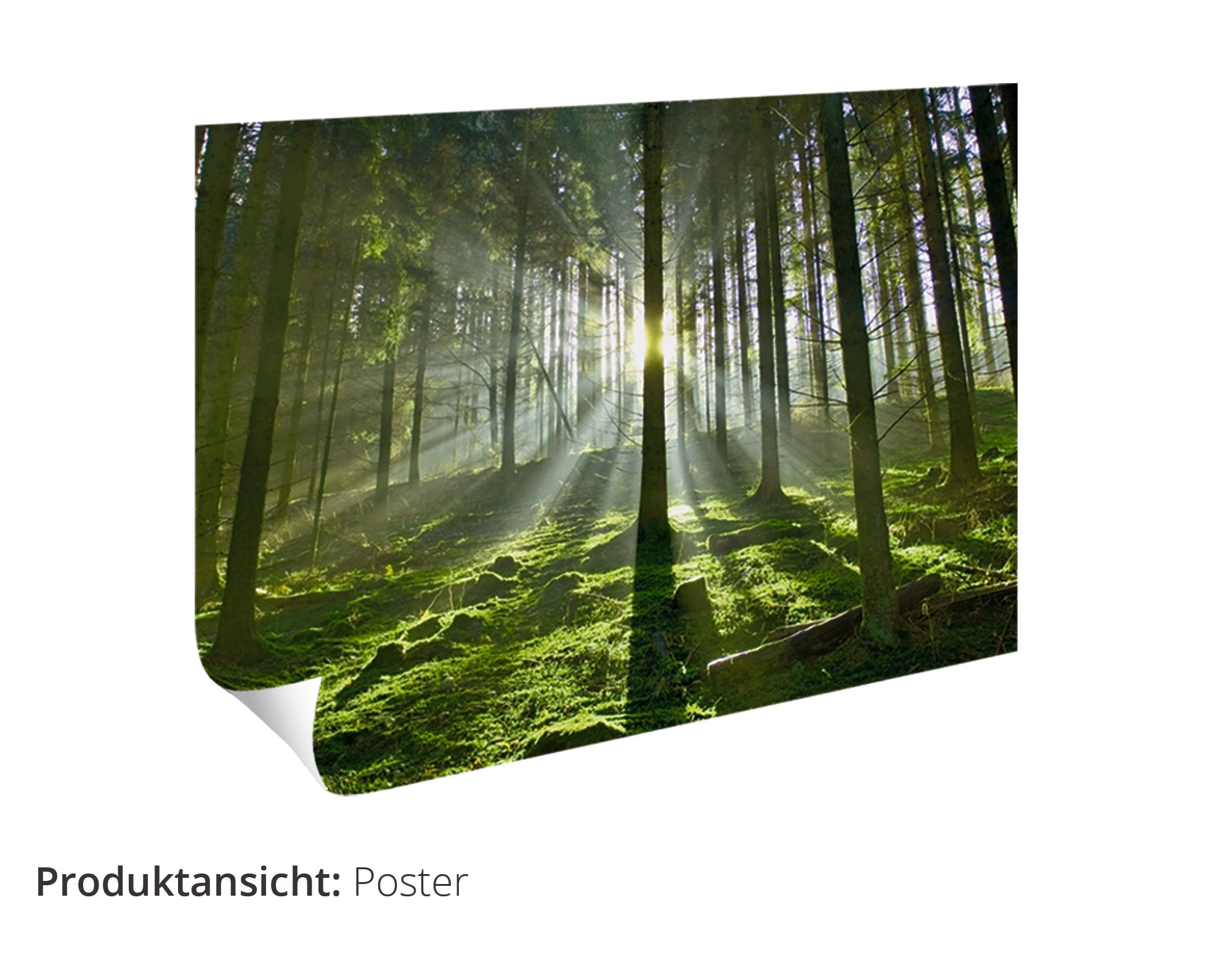 Artland Wandbild »Winterlandschaft als günstig Grössen mit kaufen Poster Wandaufkleber St.), oder versch. Alubild, in (1 Berge, Sonnenstern«, Leinwandbild