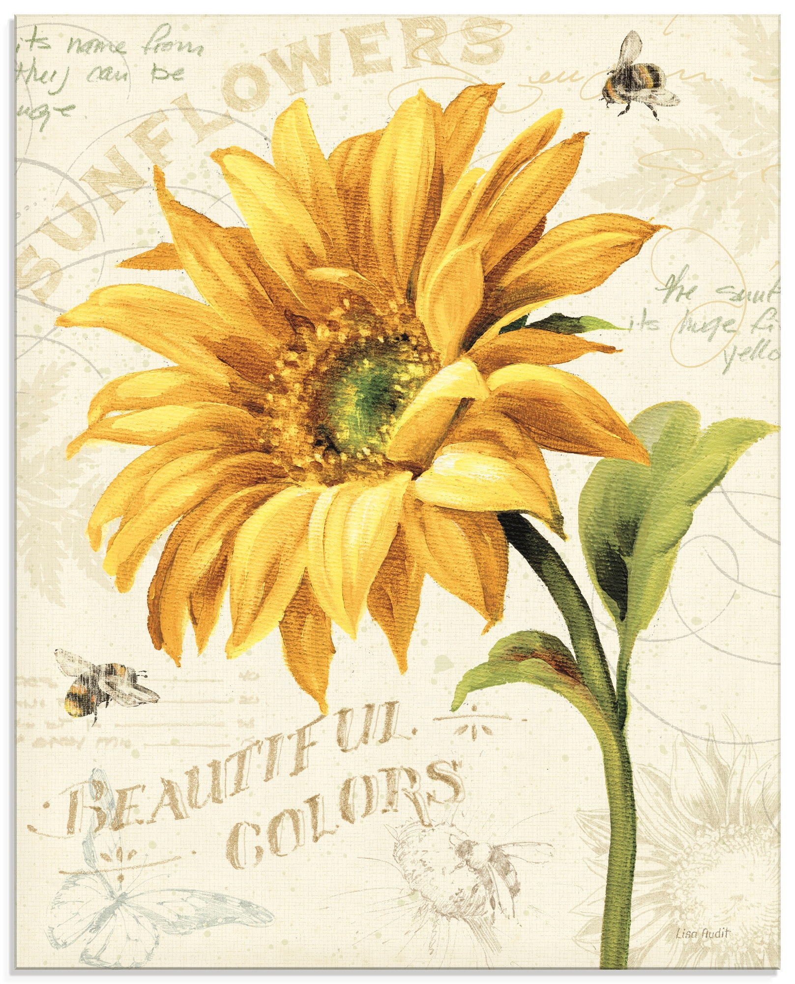 Image of Artland Glasbild "Under the Sun II" Blumenbilder 1 Stk. tlg. in verschiedenen Grössen