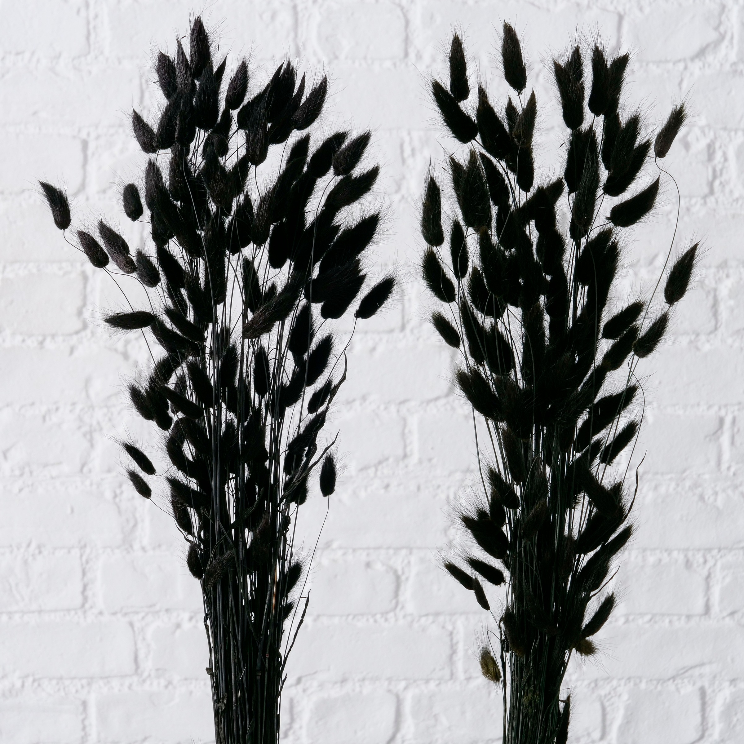 Image of andas Trockenblume »Fällö«, (Set, 2 St.), Samtgras, 2er Set bei Ackermann Versand Schweiz