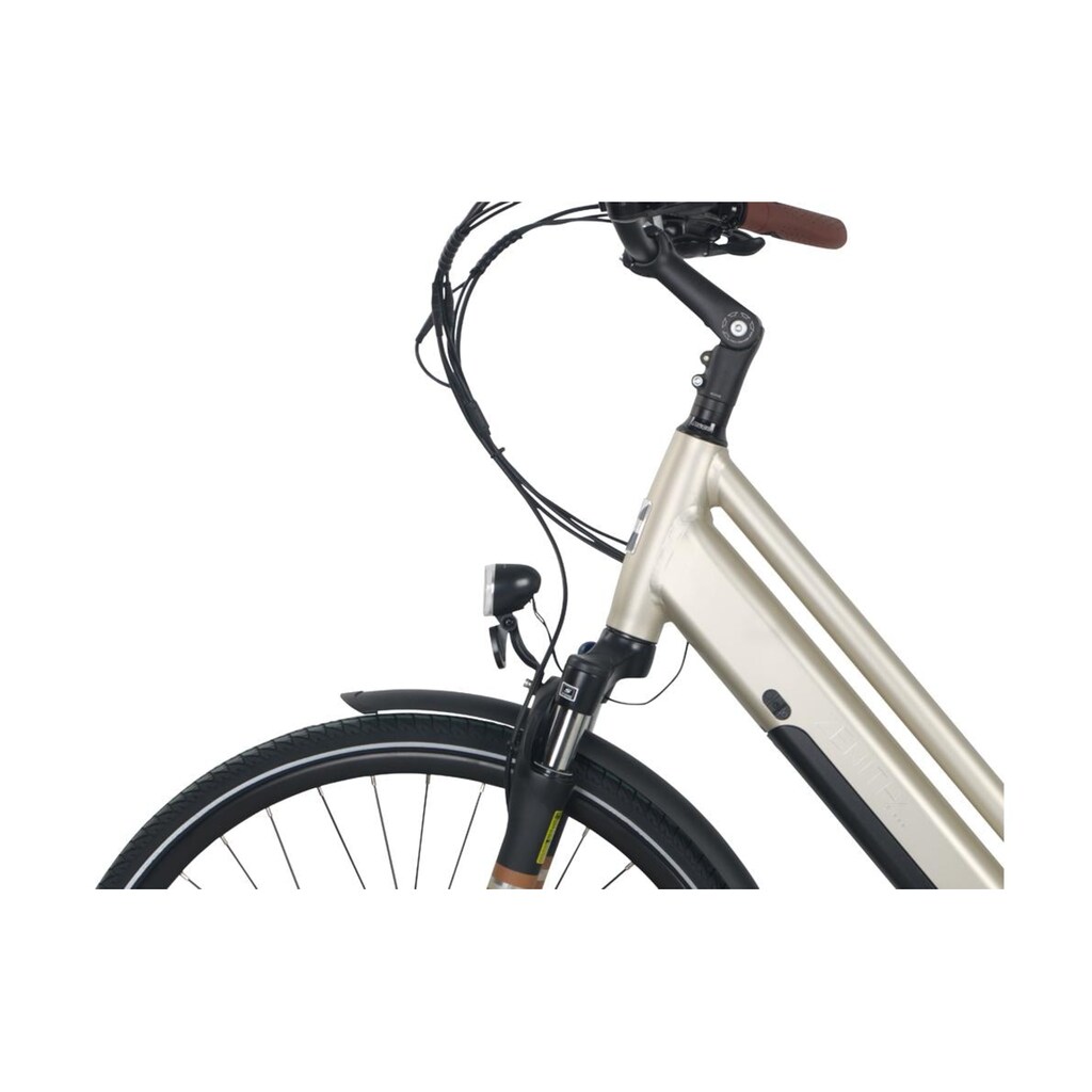 Zenith E-Bike »Classic Plus«, Heckmotor 250 W