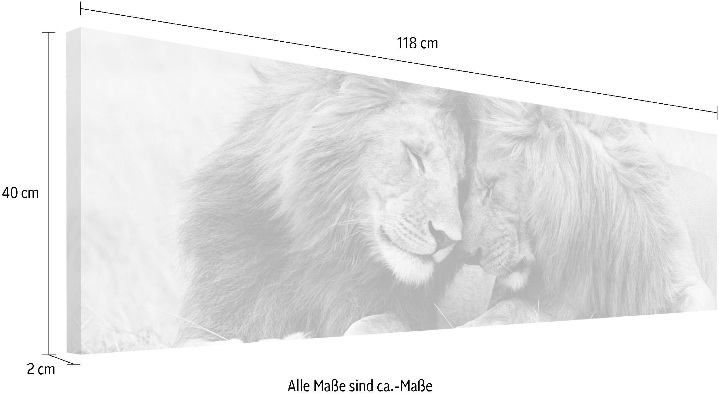 Reinders! Wandbild »Löwenliebe« günstig kaufen | Kunstdrucke