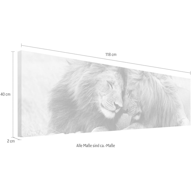 Reinders! Wandbild »Löwenliebe« günstig kaufen